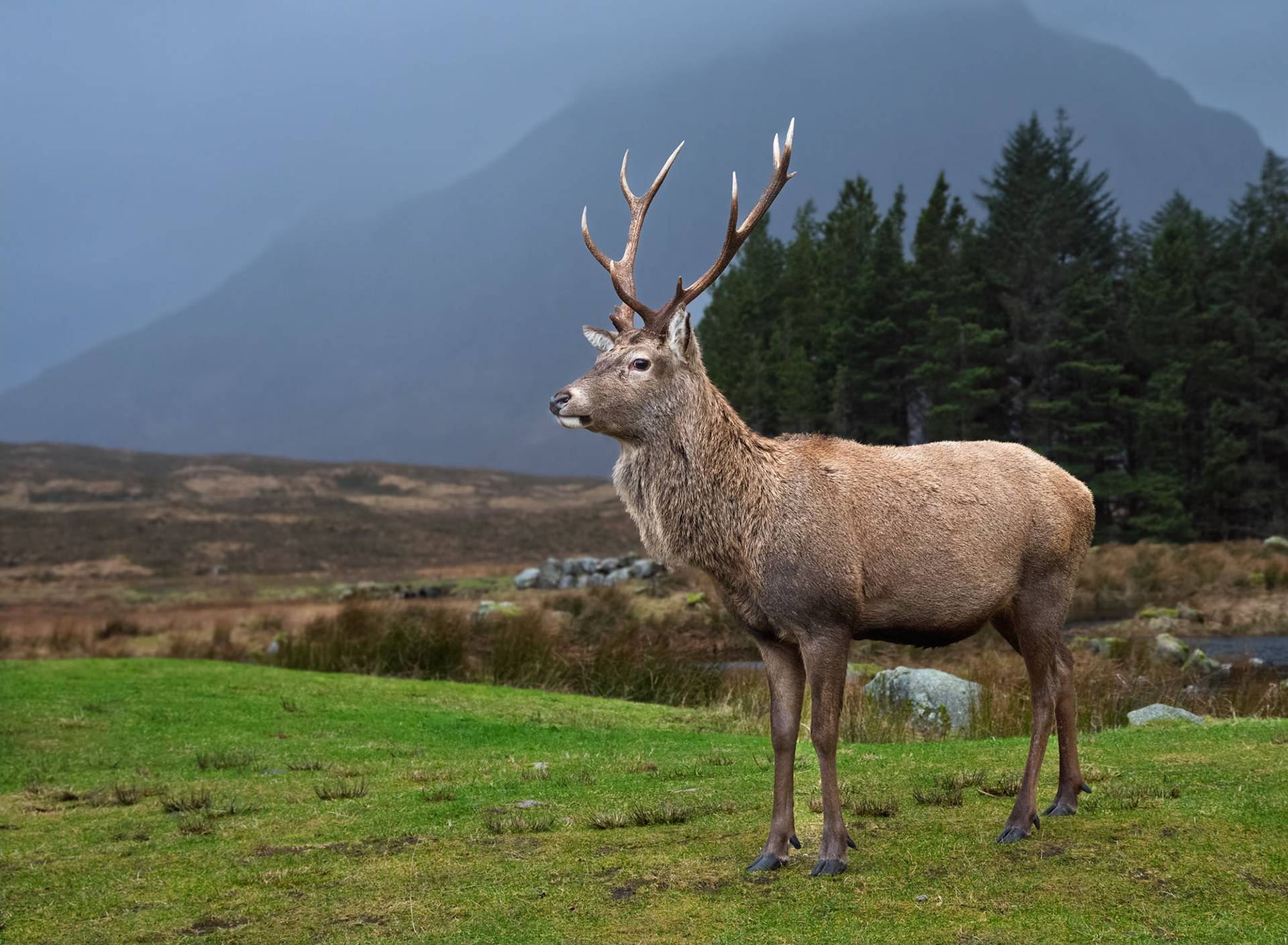 The beauty of Glencoe, Scotland