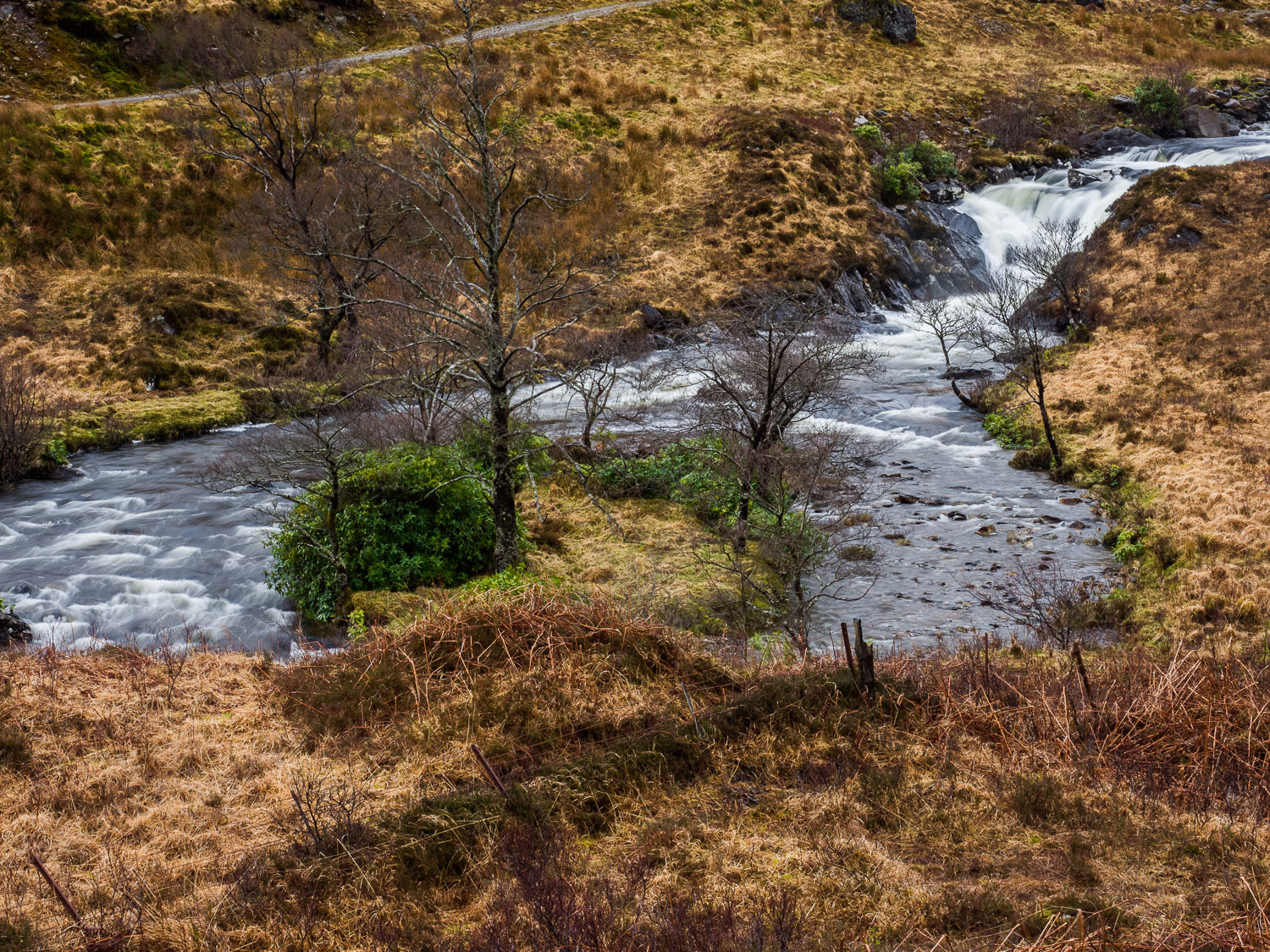 River near Fort Williams