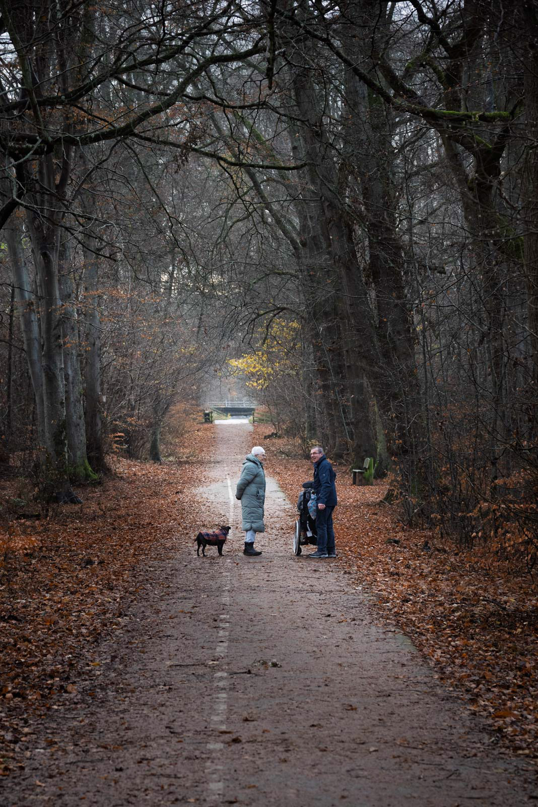 Walking in the woods, Culloden, Invernes