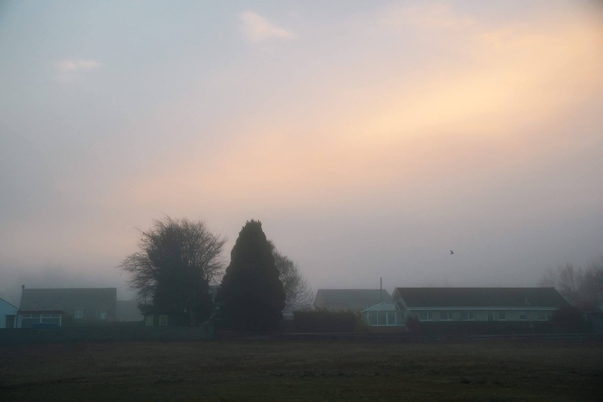 Foggy morning, Inverness