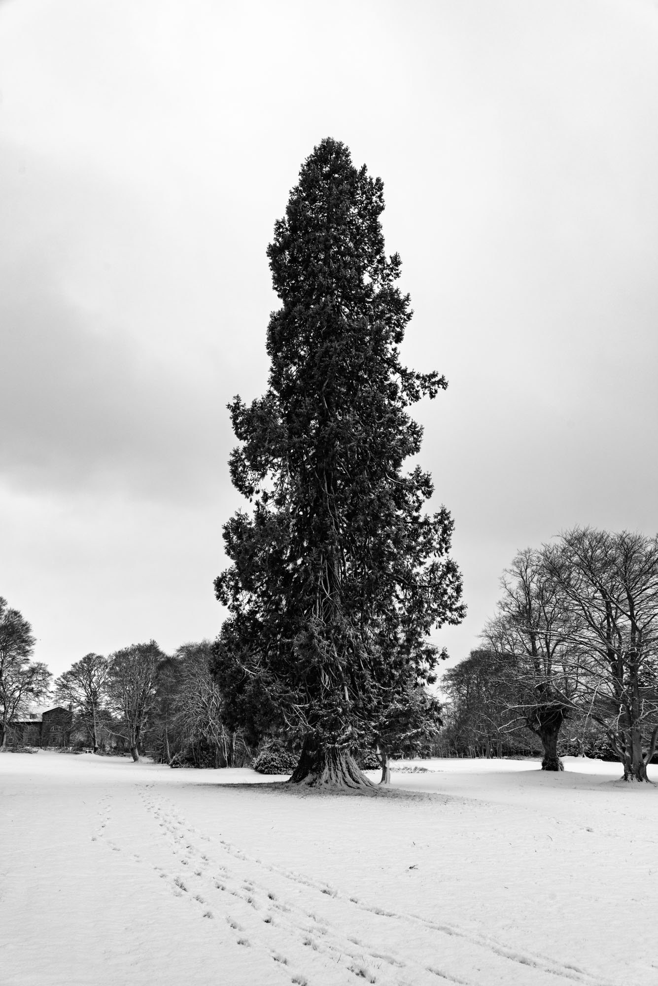 Culloden, Inverness, Scotland