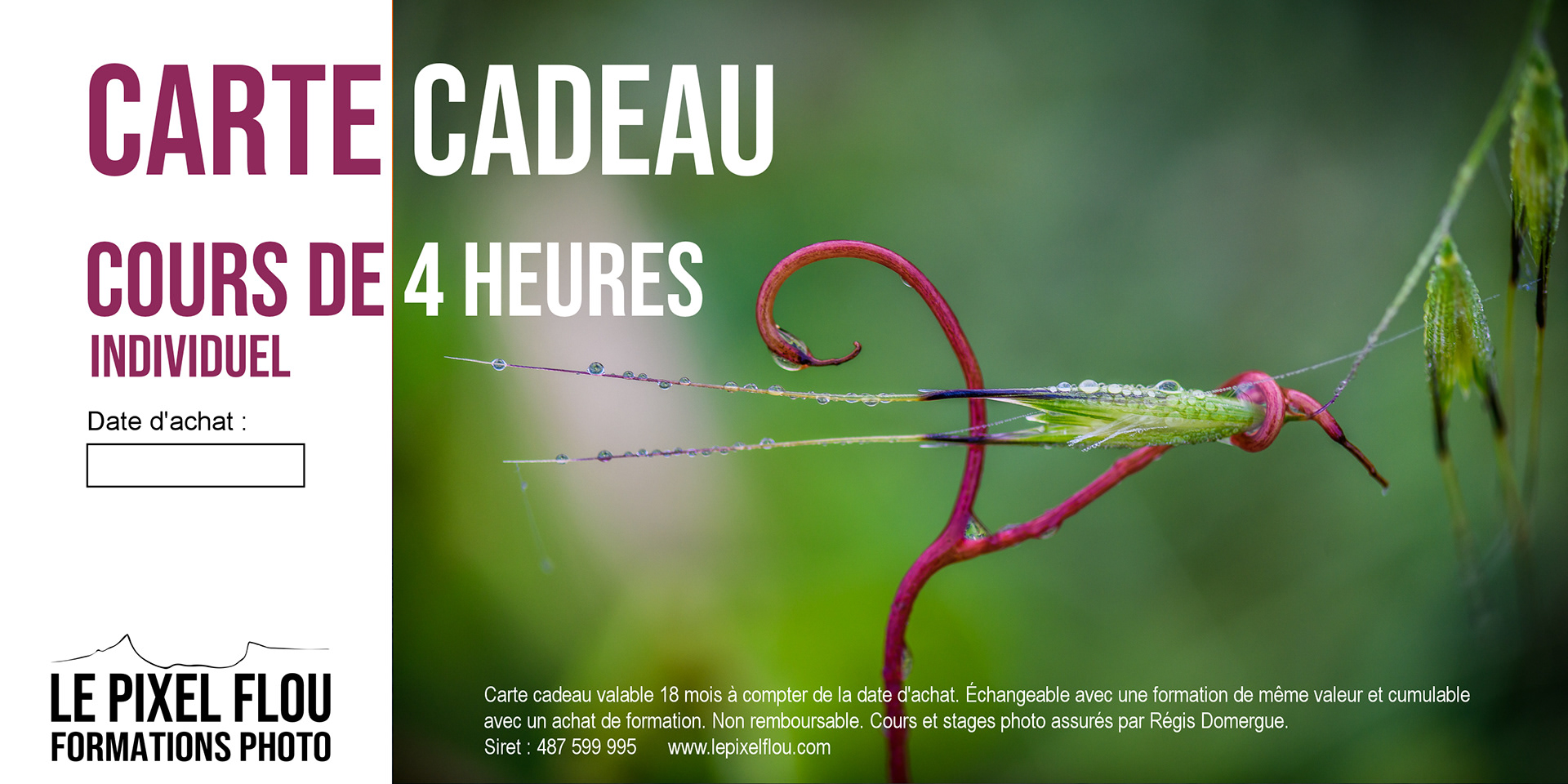 350€ TTC, cours théorique et pratique à Sainte-Croix-de-Quintillargues