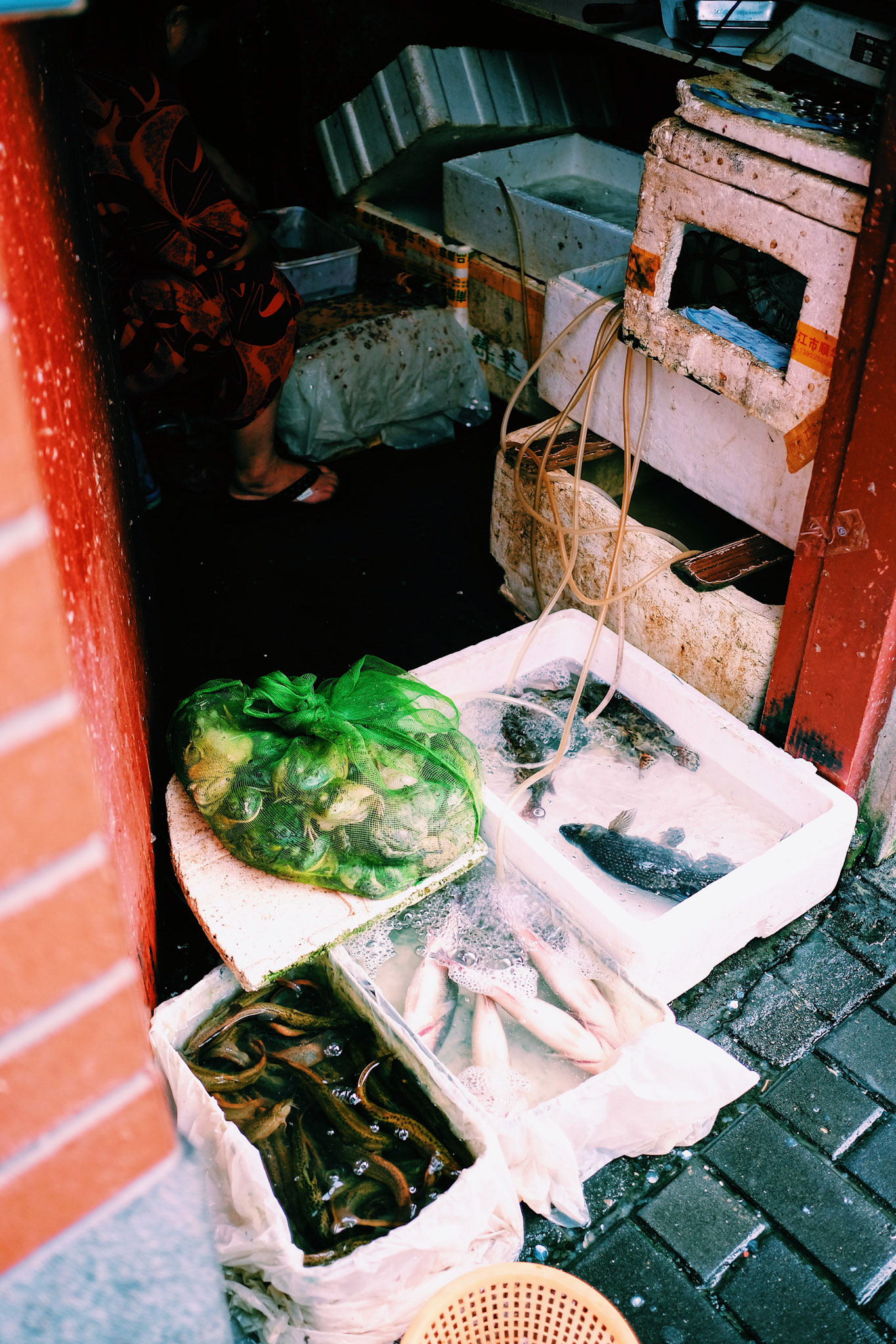 Processed with VSCO with c1 preset