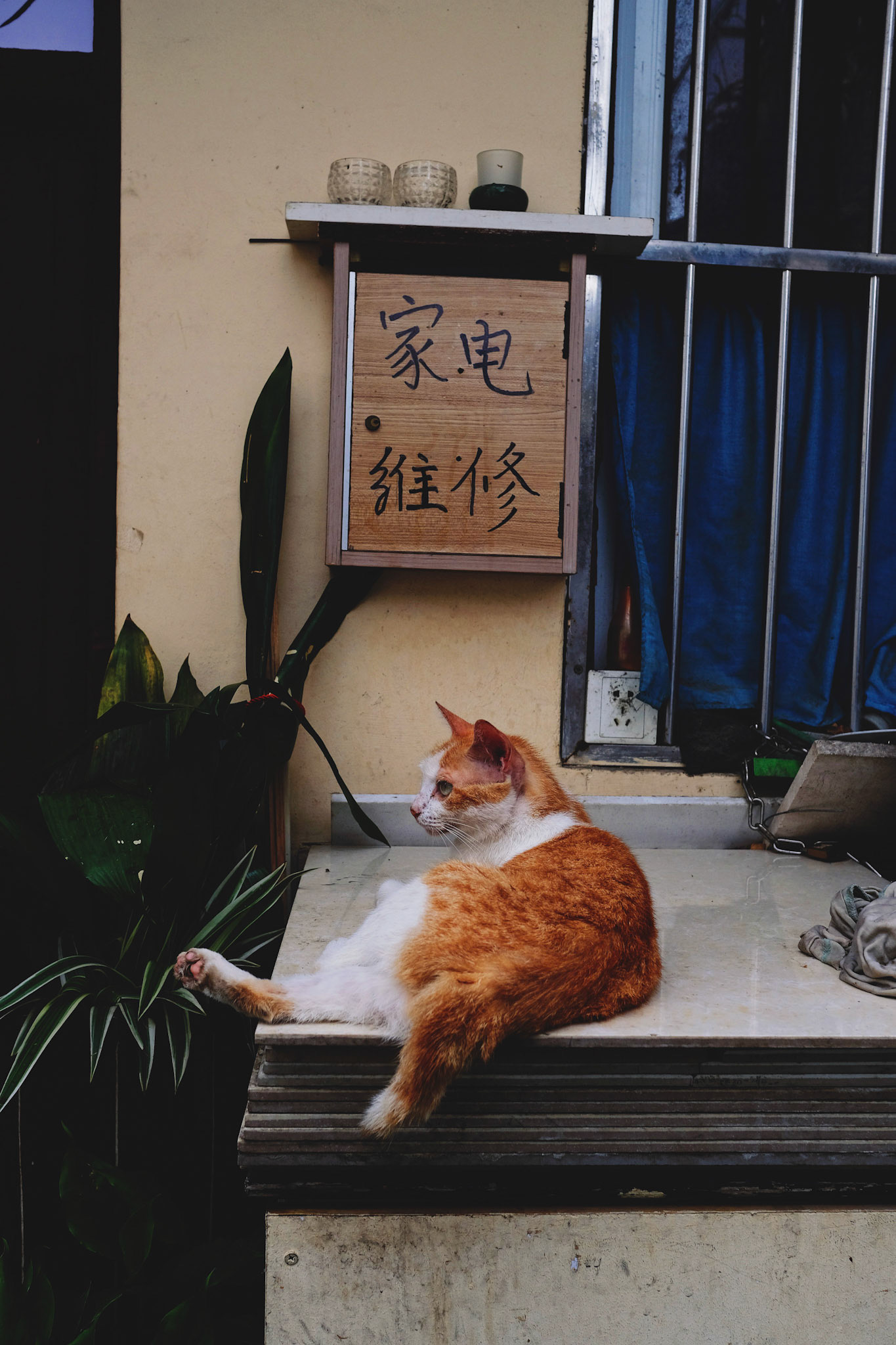 Processed with VSCO with 4 preset