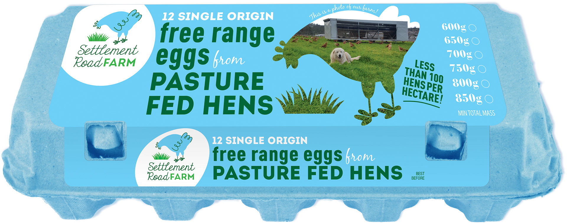 Free range egg label design on special blue 12 egg carton.
