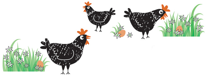 Illustration of black free range hens, grass, flowers, and eggs.