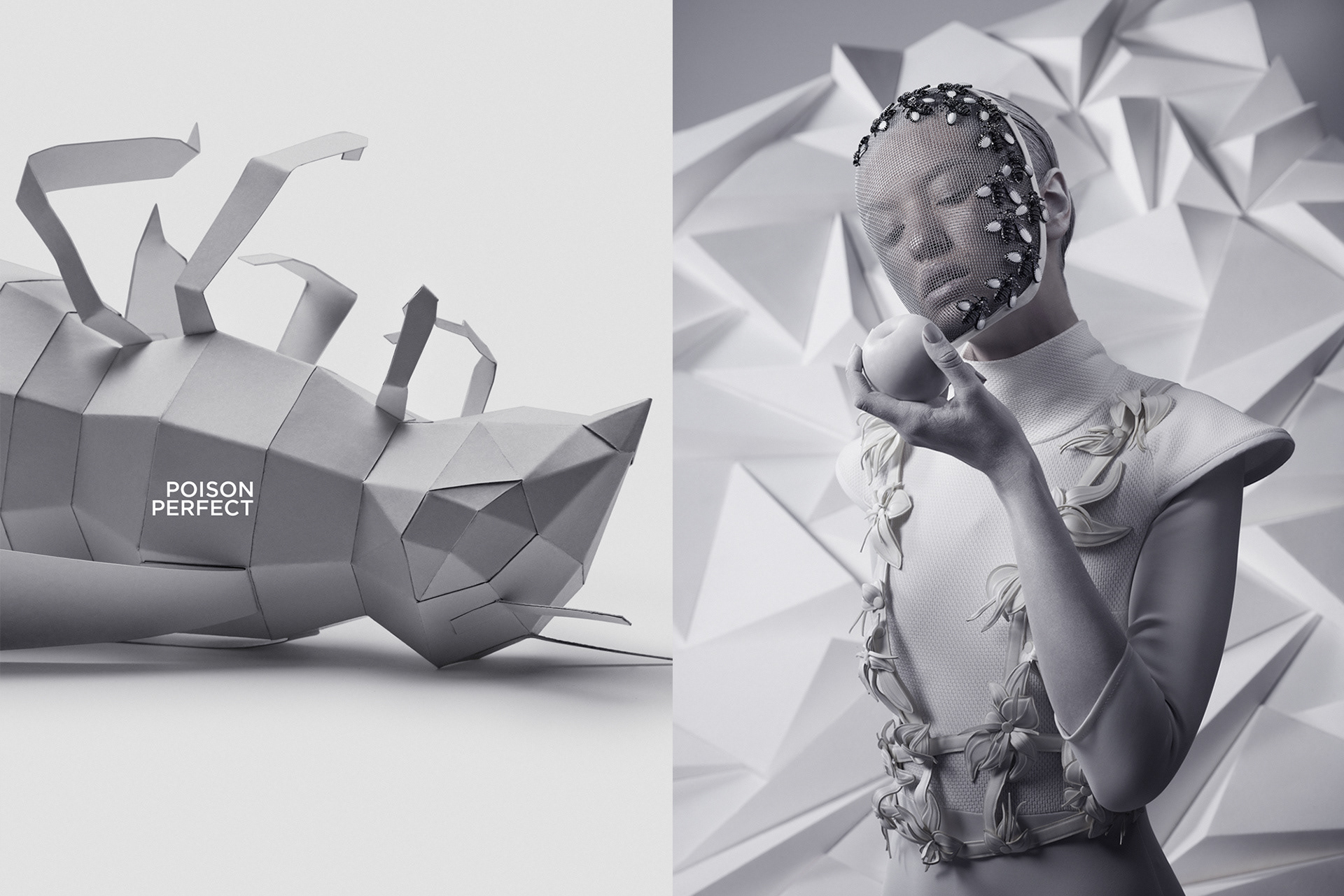 Фотография: Драгомир Спасов