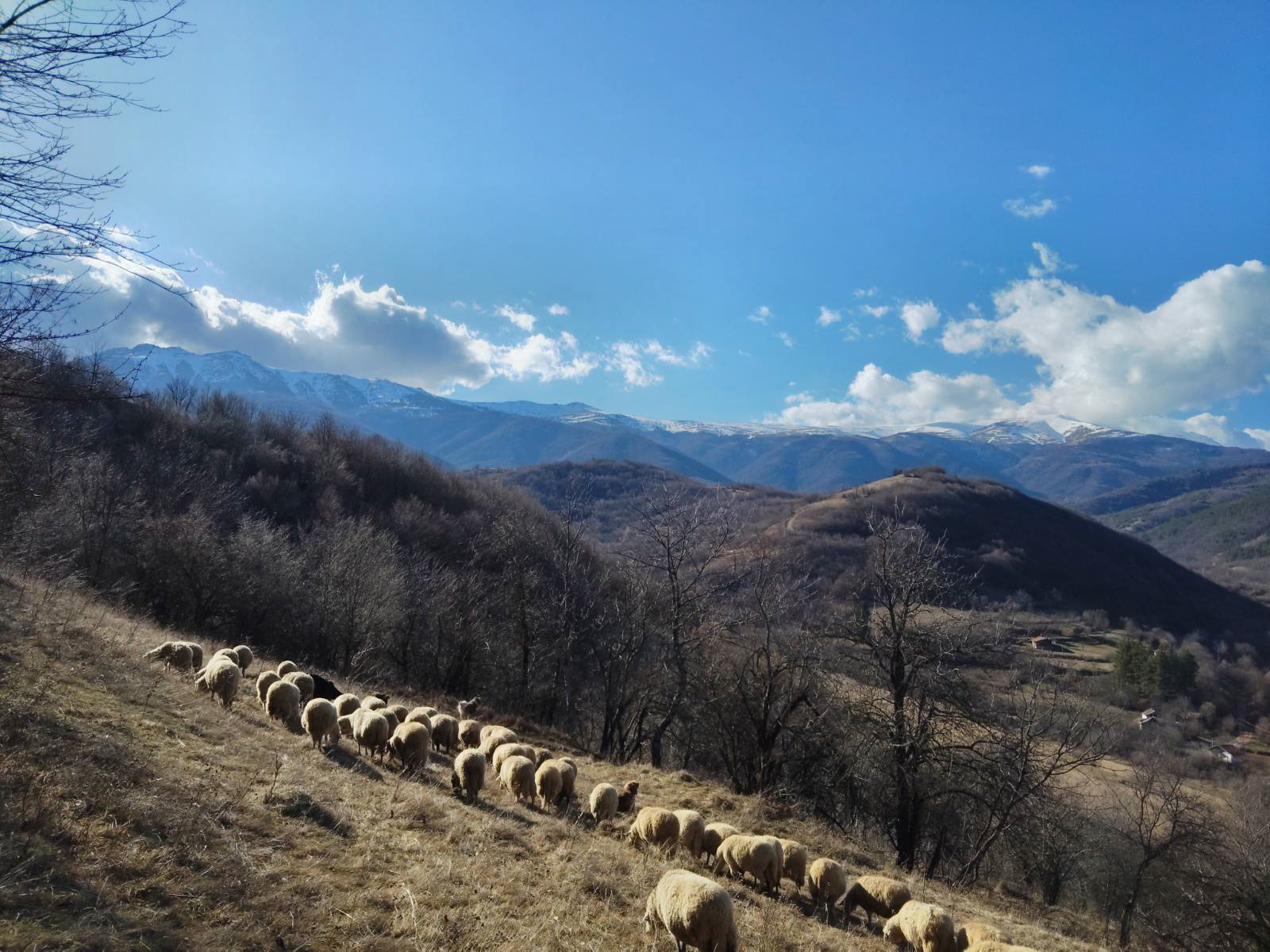 The family raises sheep whose wool they spin, dye, and weave into the distinctive Chushkarcheto carpets.