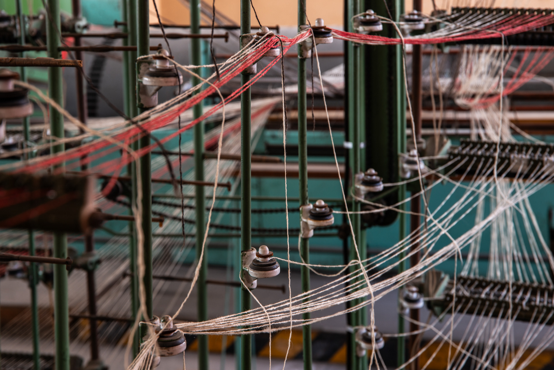 Център Кристо и Жан-Клод, Росина Пенчева, Capturing Creativity