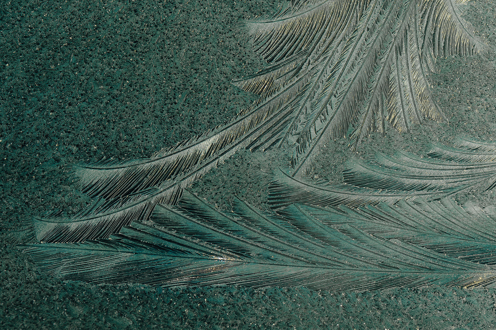 Frosty windscreen