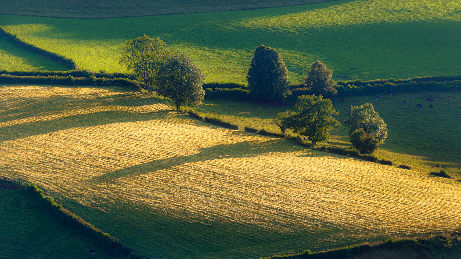 View from Little Solsbury Hill