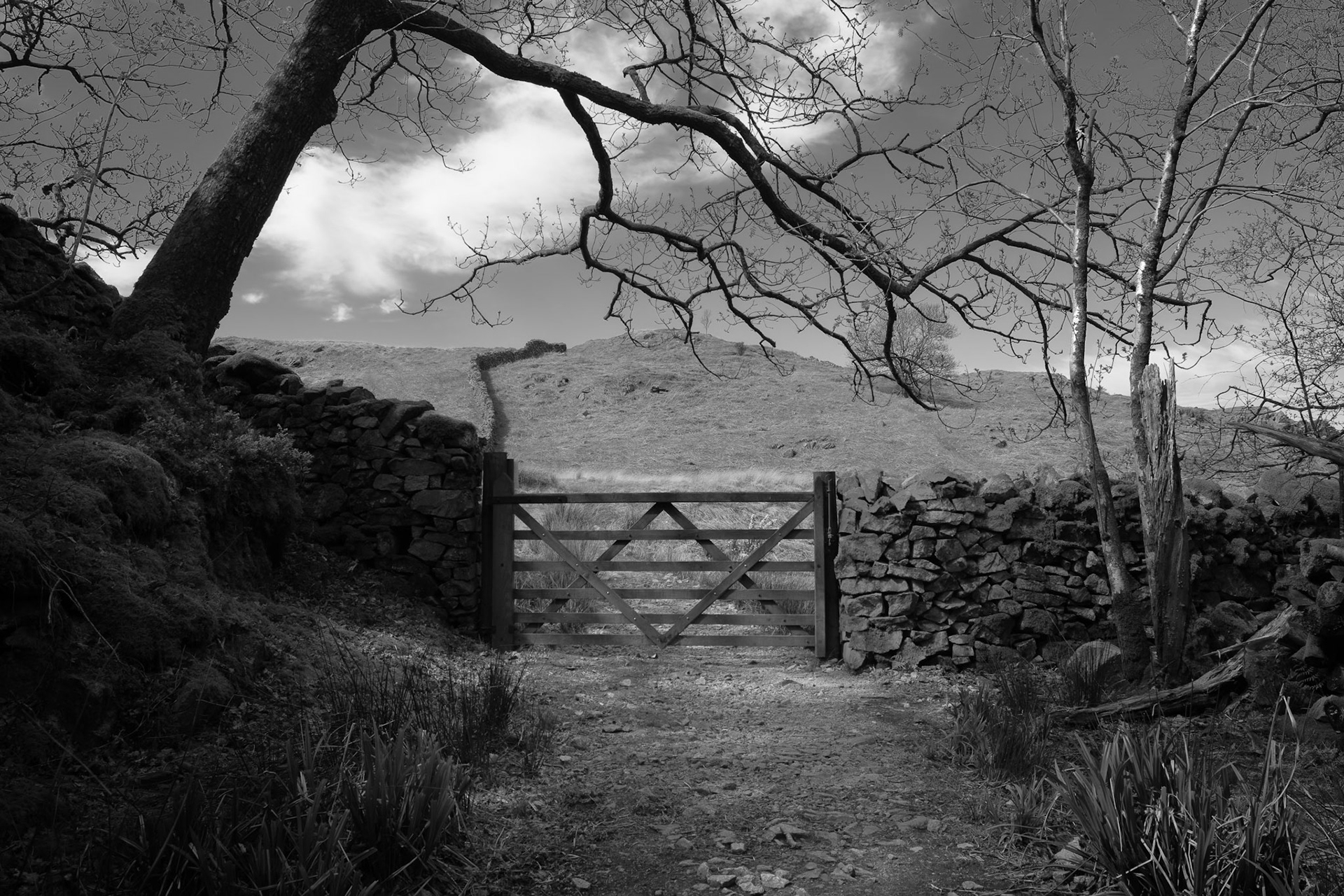 Gateway to the fells