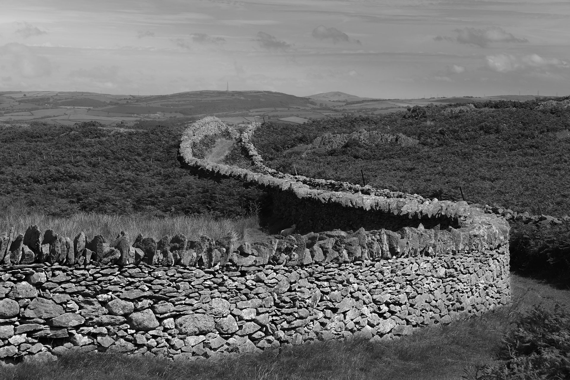 Coffin Path, North Wales Pilgrims Way