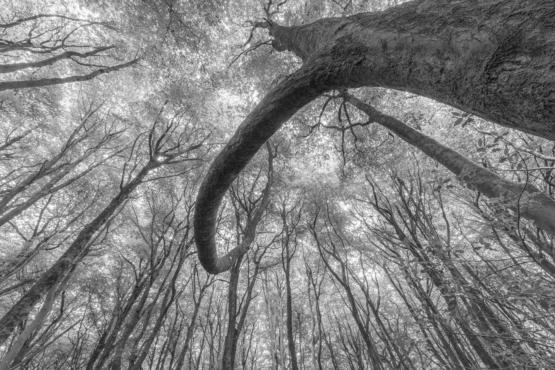 Reaching out