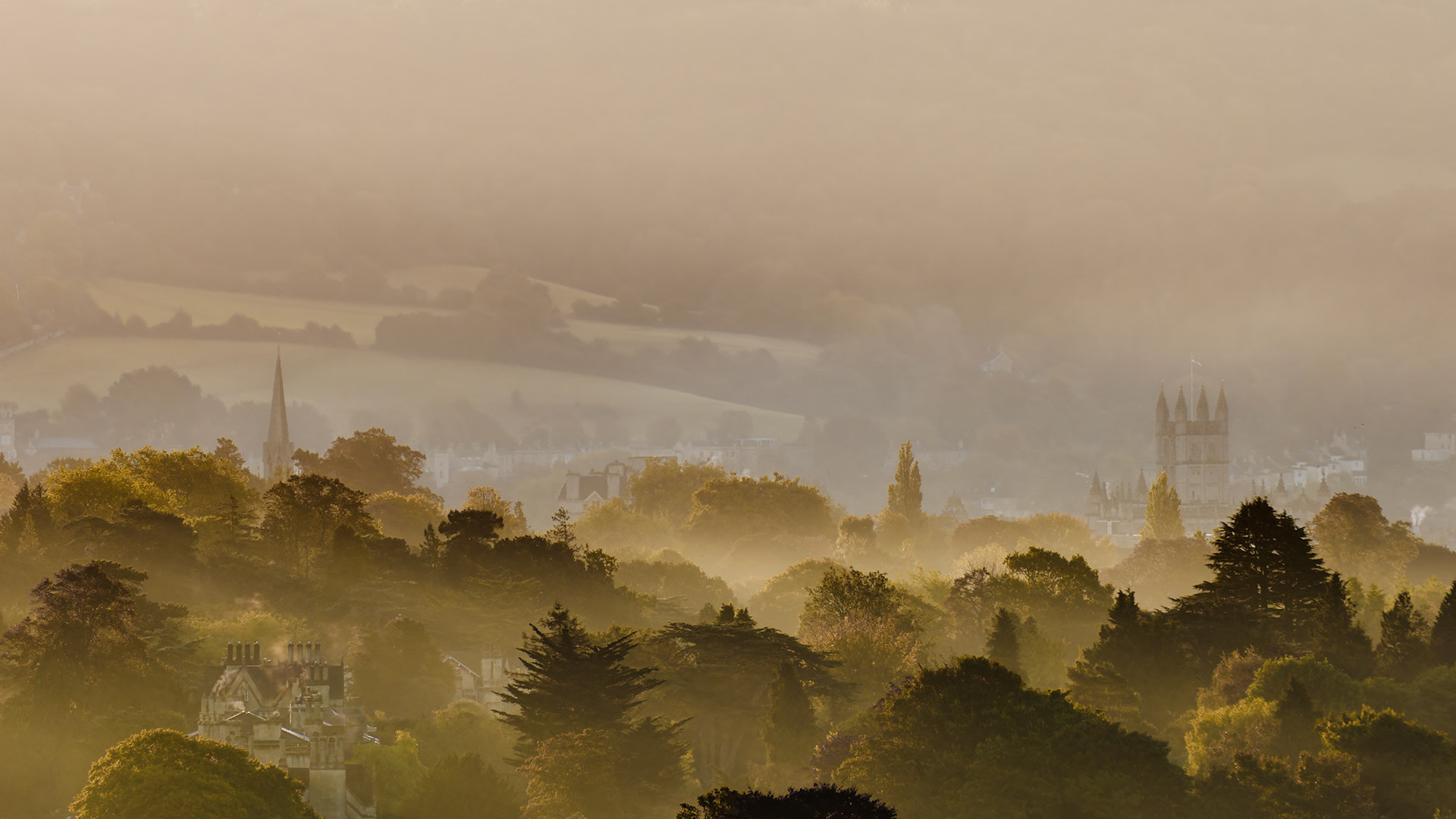 City view from Weston
