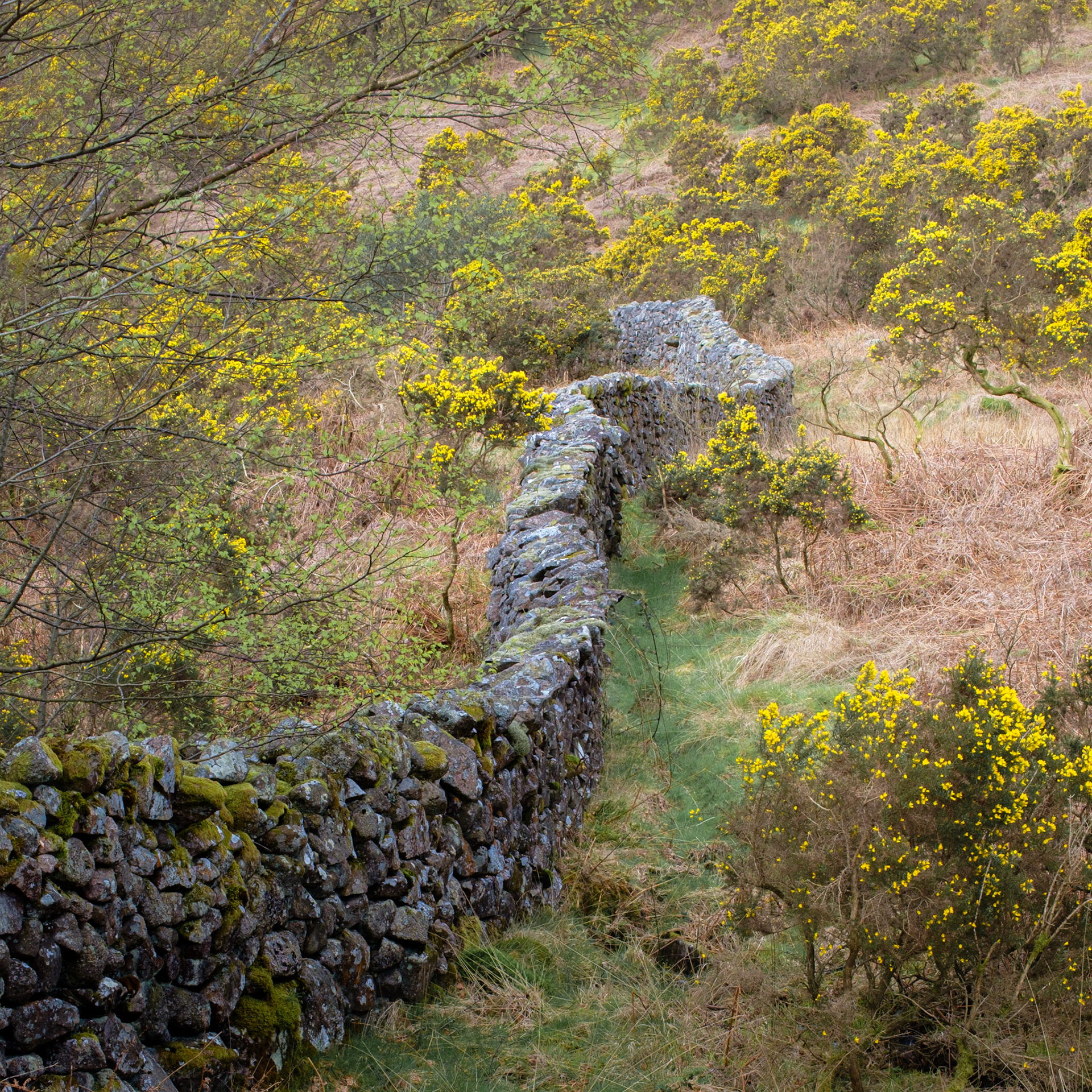 Eskdale, Lake District