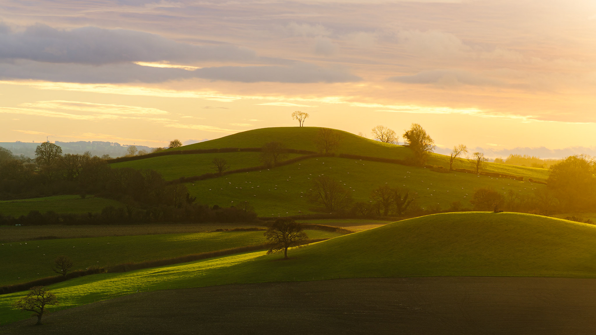 Towards Farmborough Common, Somerset