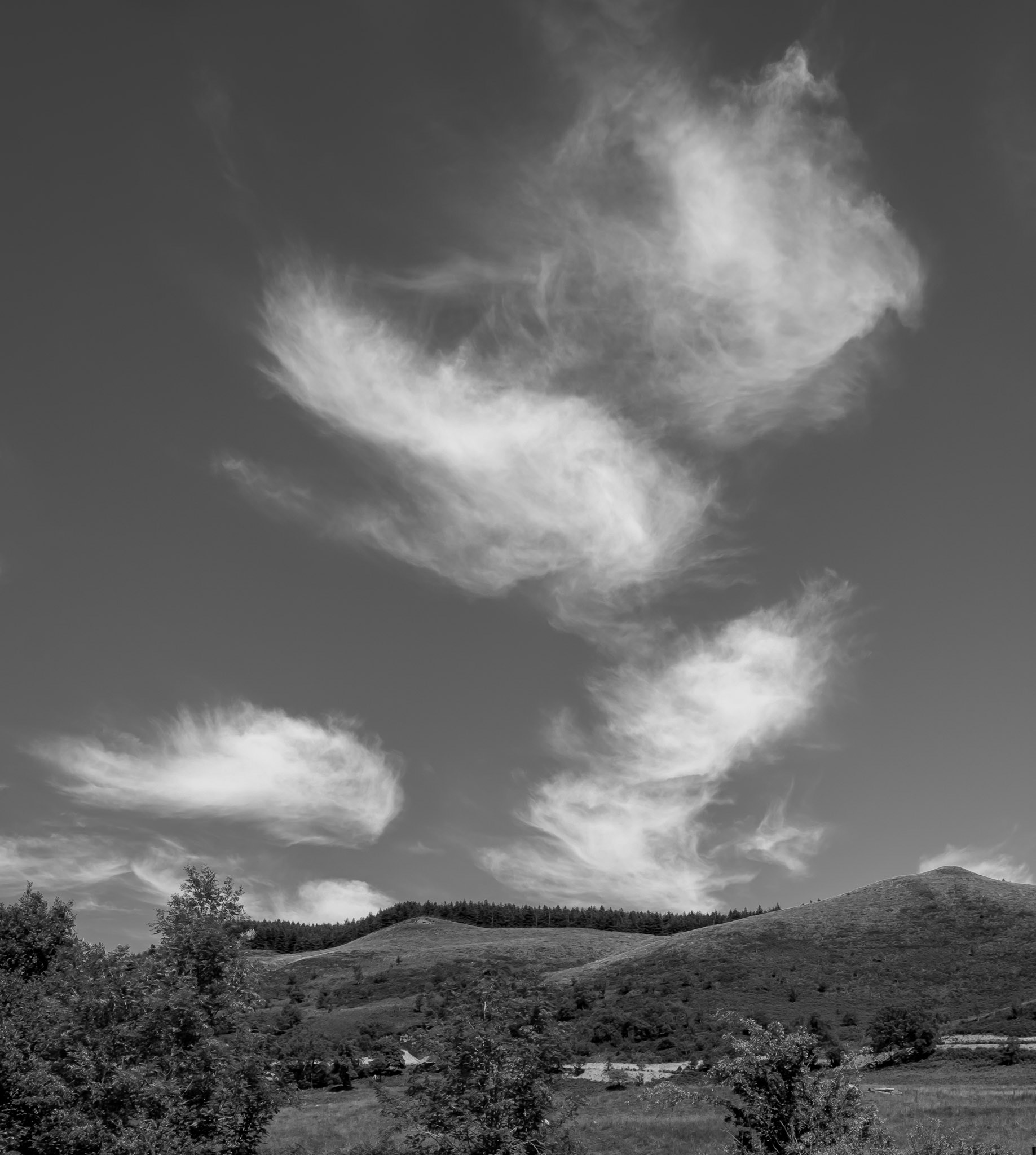 Wispy