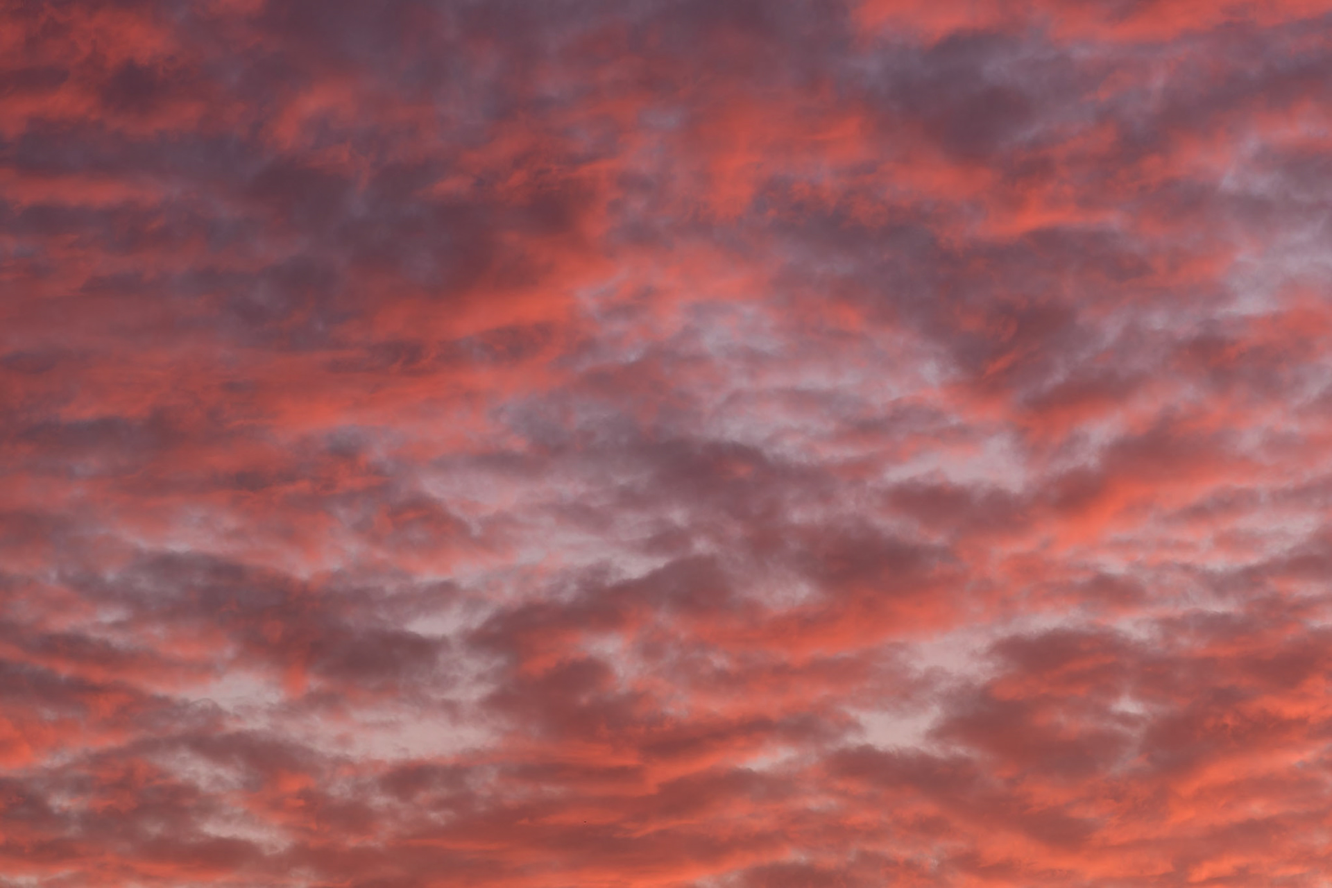 Winter evening sky, Somerset Levels