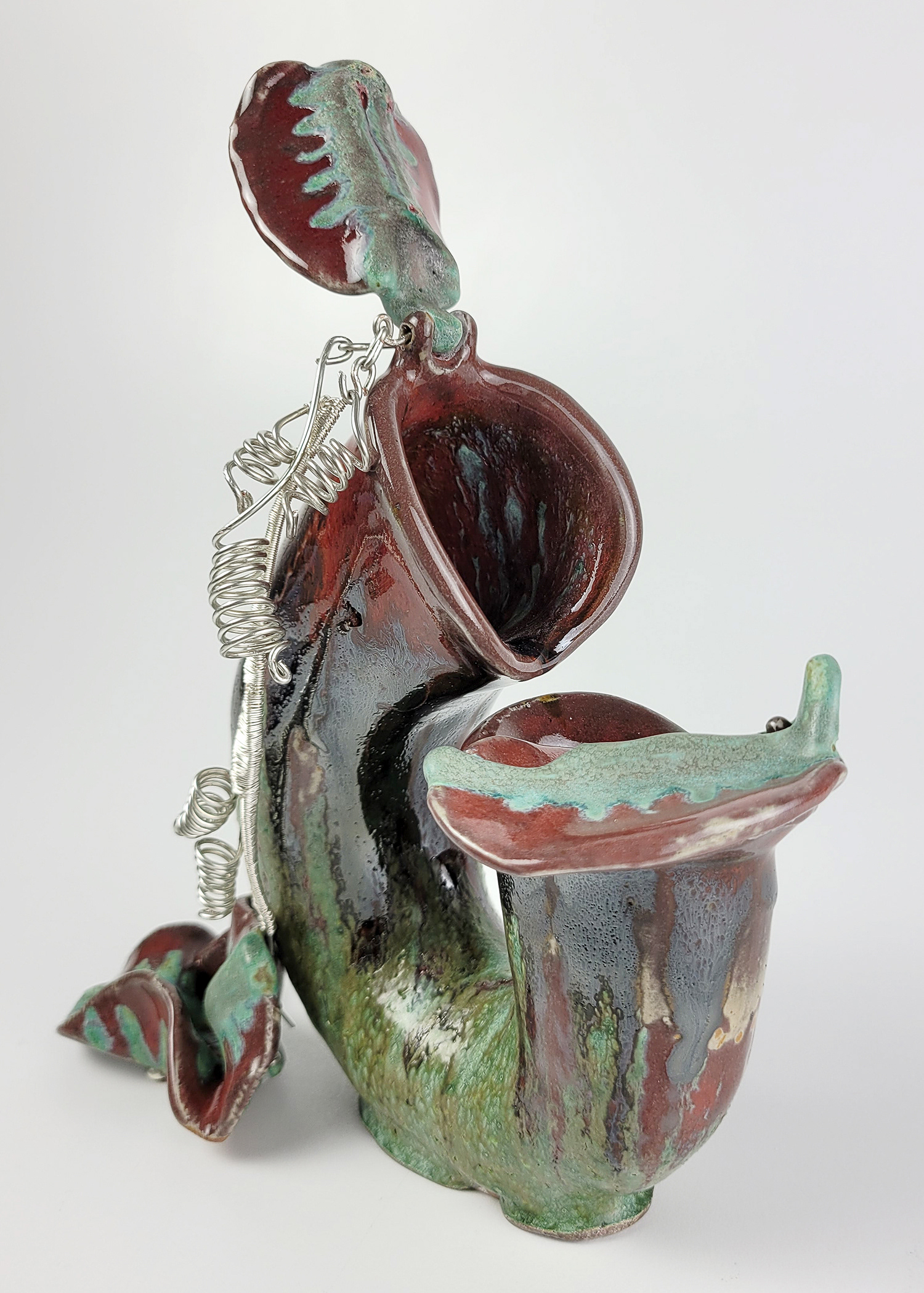 (Detail-Open) Moving Parts: Pitcher Plant