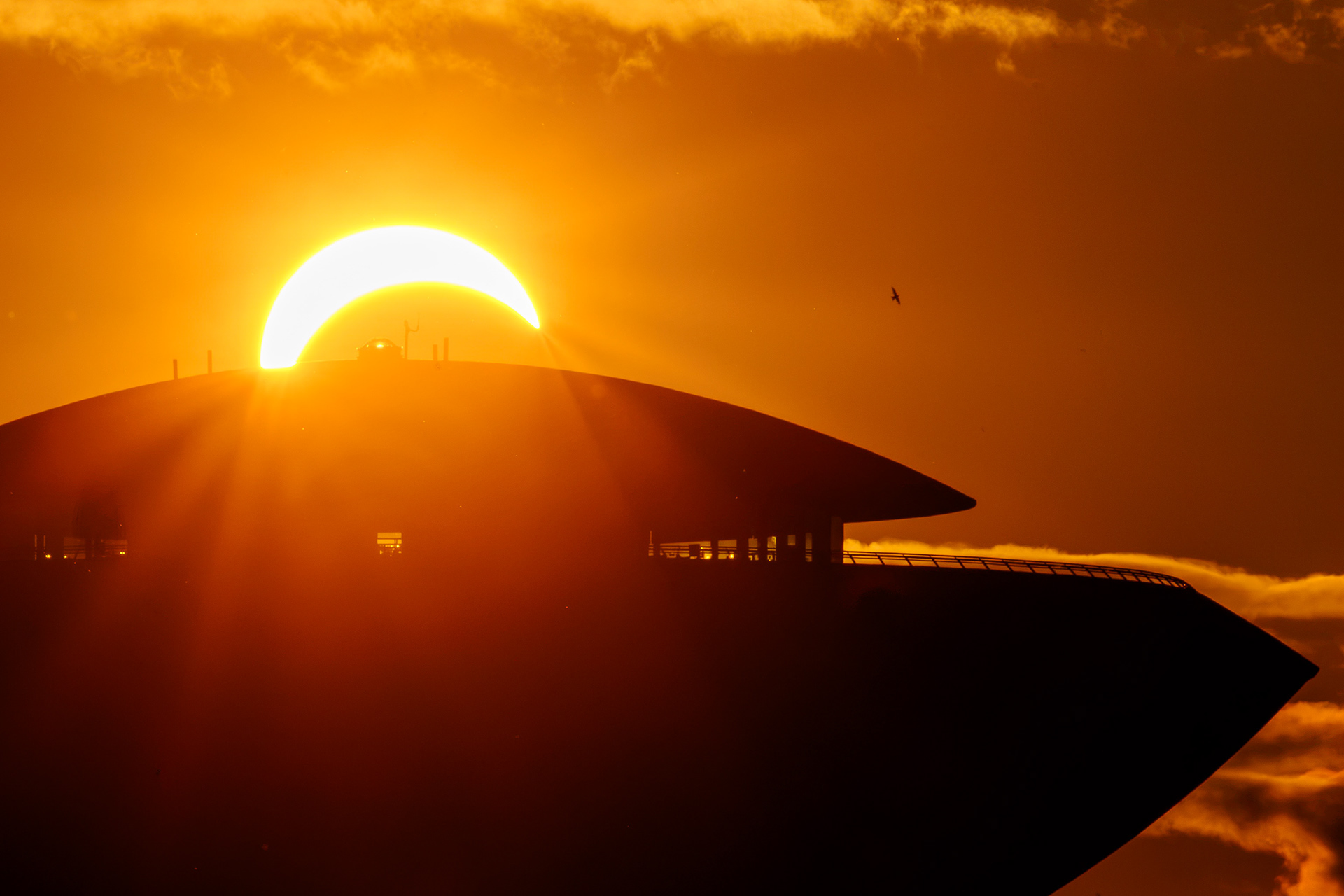Most likely a gull caught in frame during the solar eclipse behind Haukilahden vesitorni restaurant, 2026