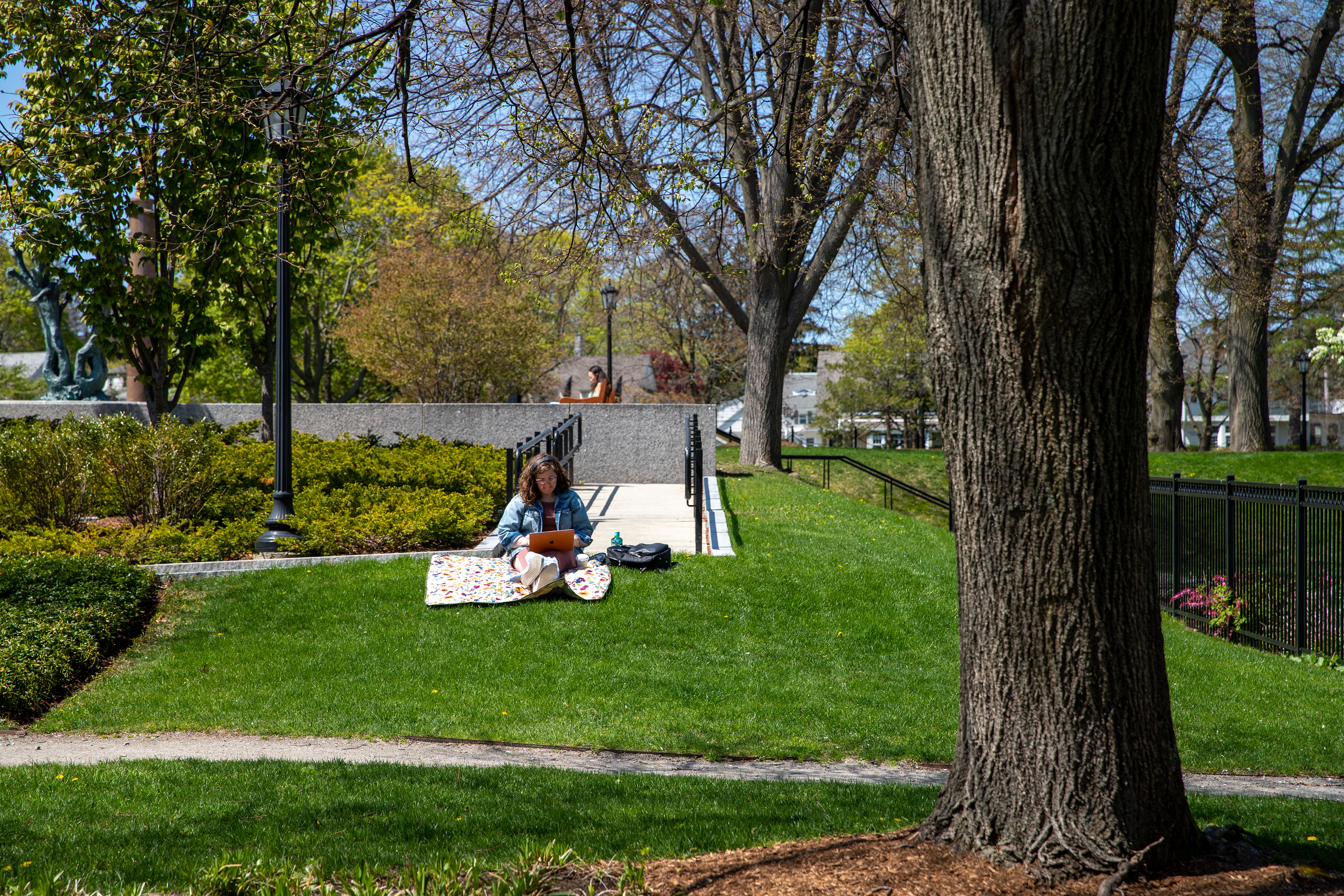 Student studying on BC academic quad