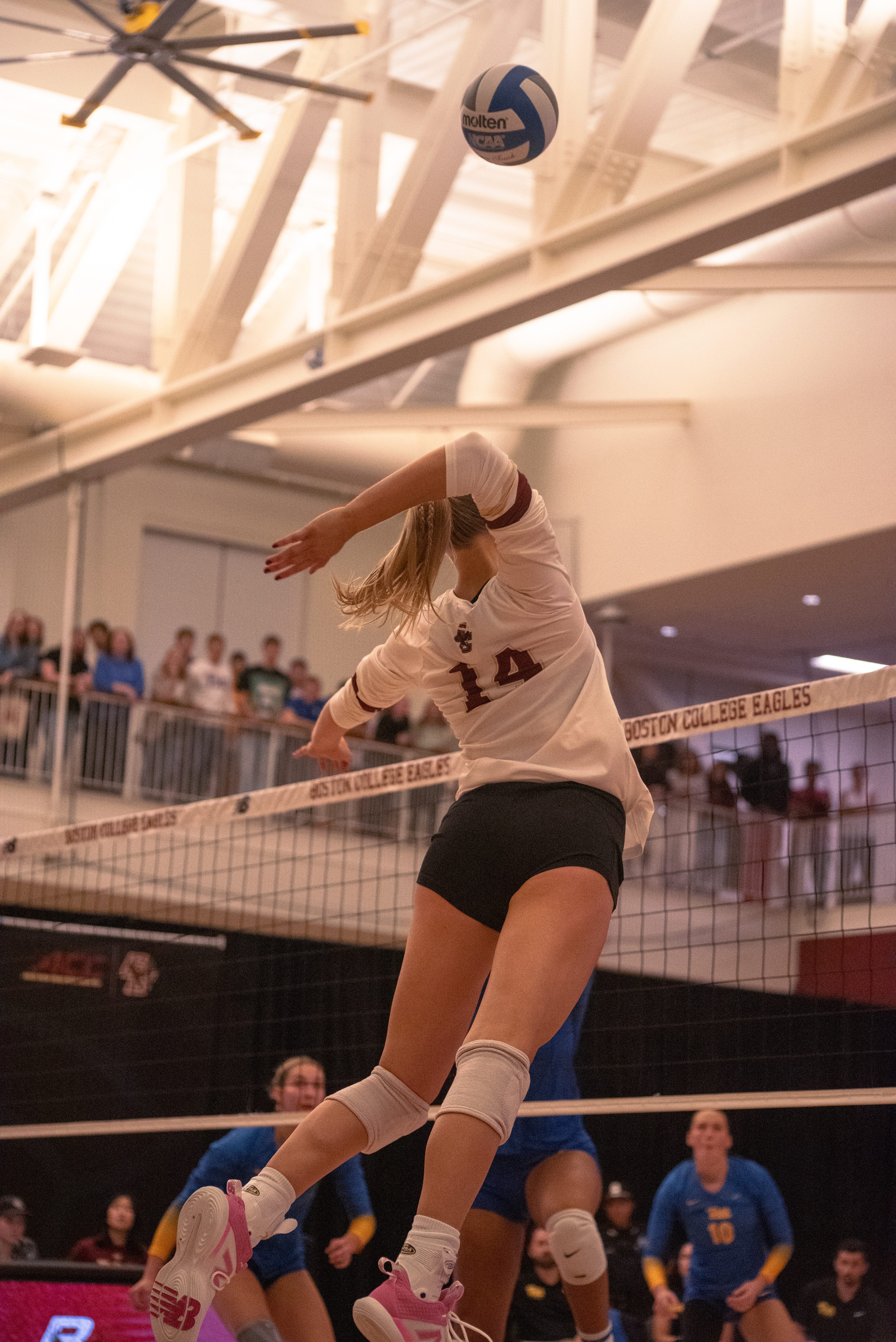 BC Women's Volleyball vs University of Pittsburg