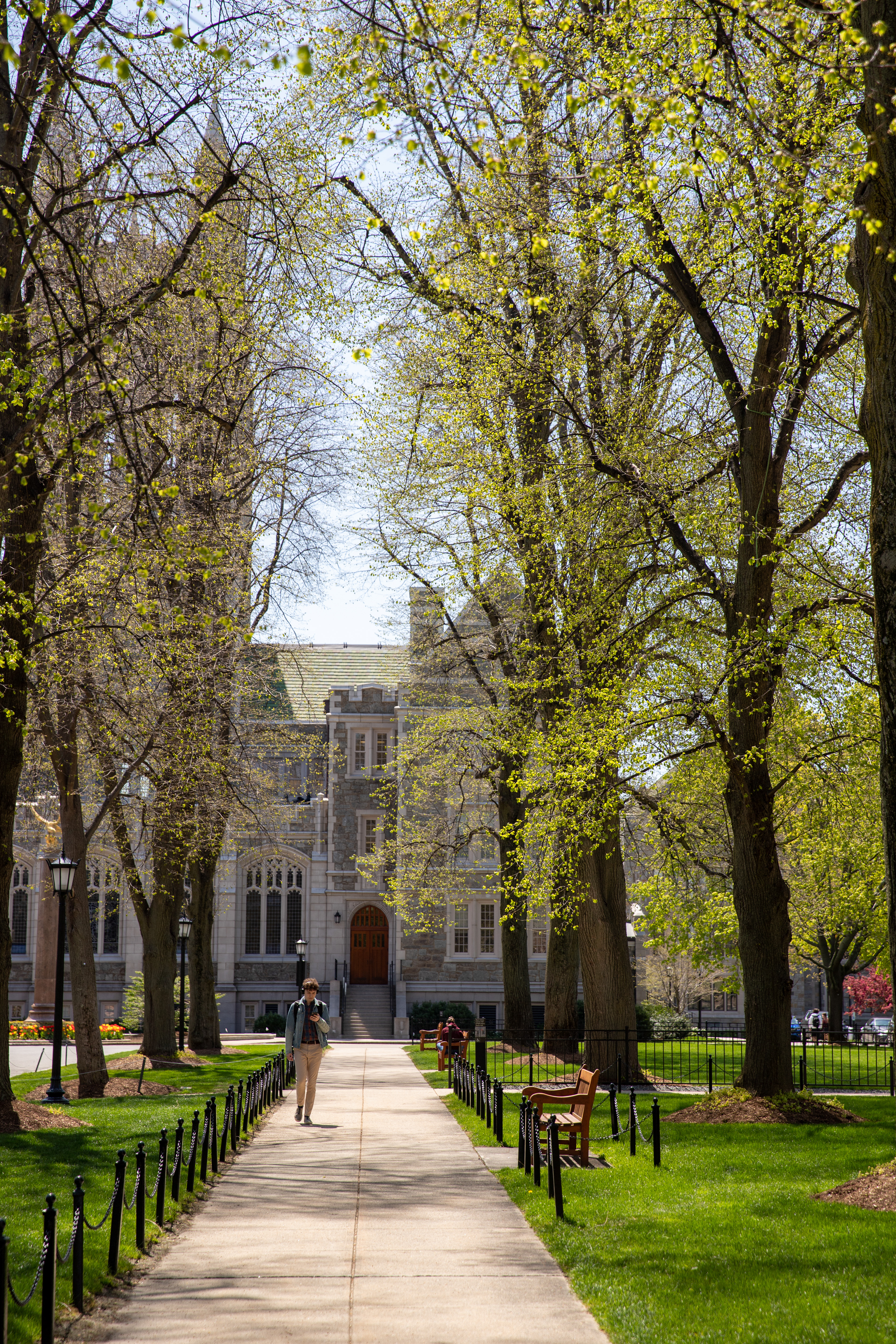 Linden Lane Walking Path