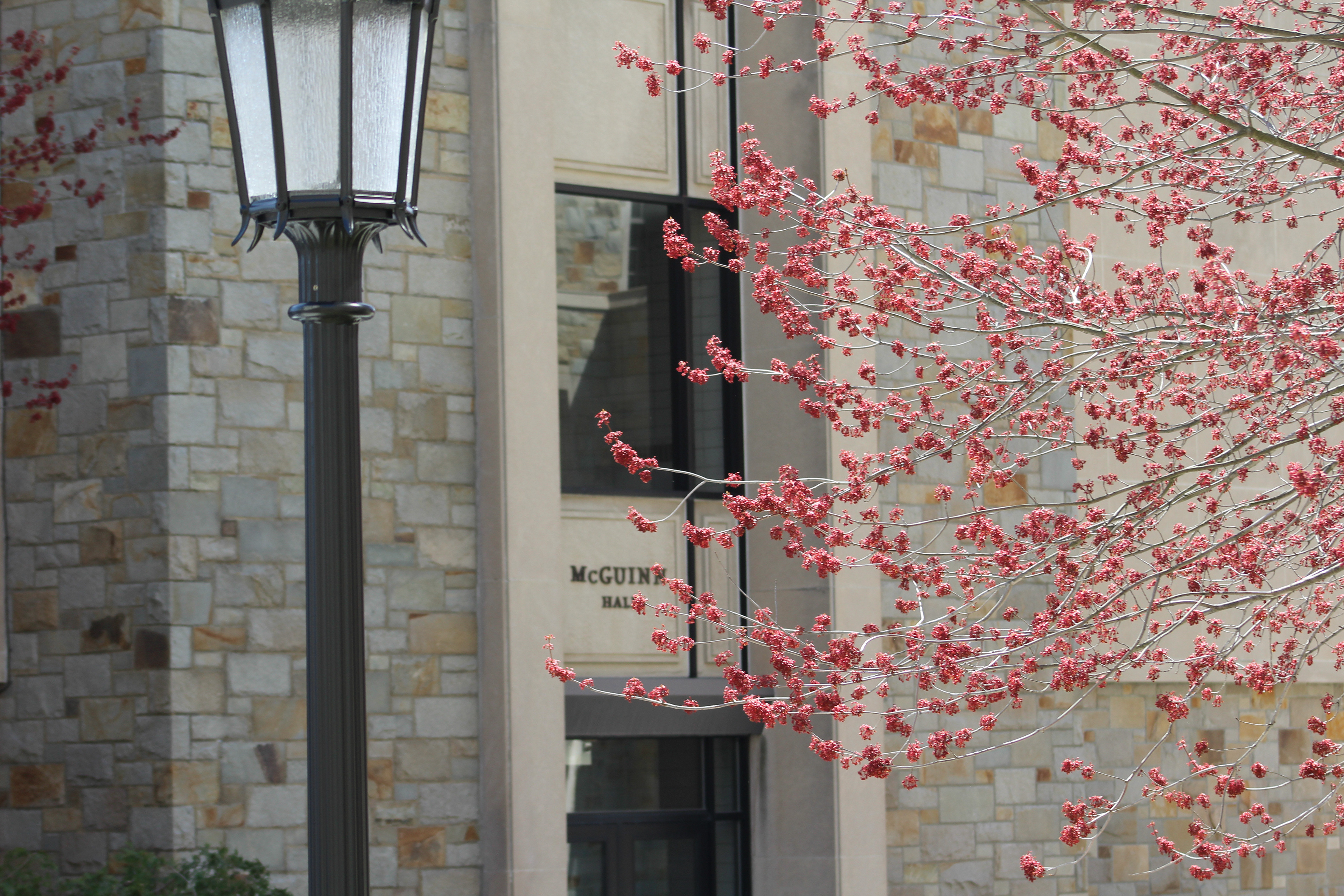 McGuinn Hall, Boston College
