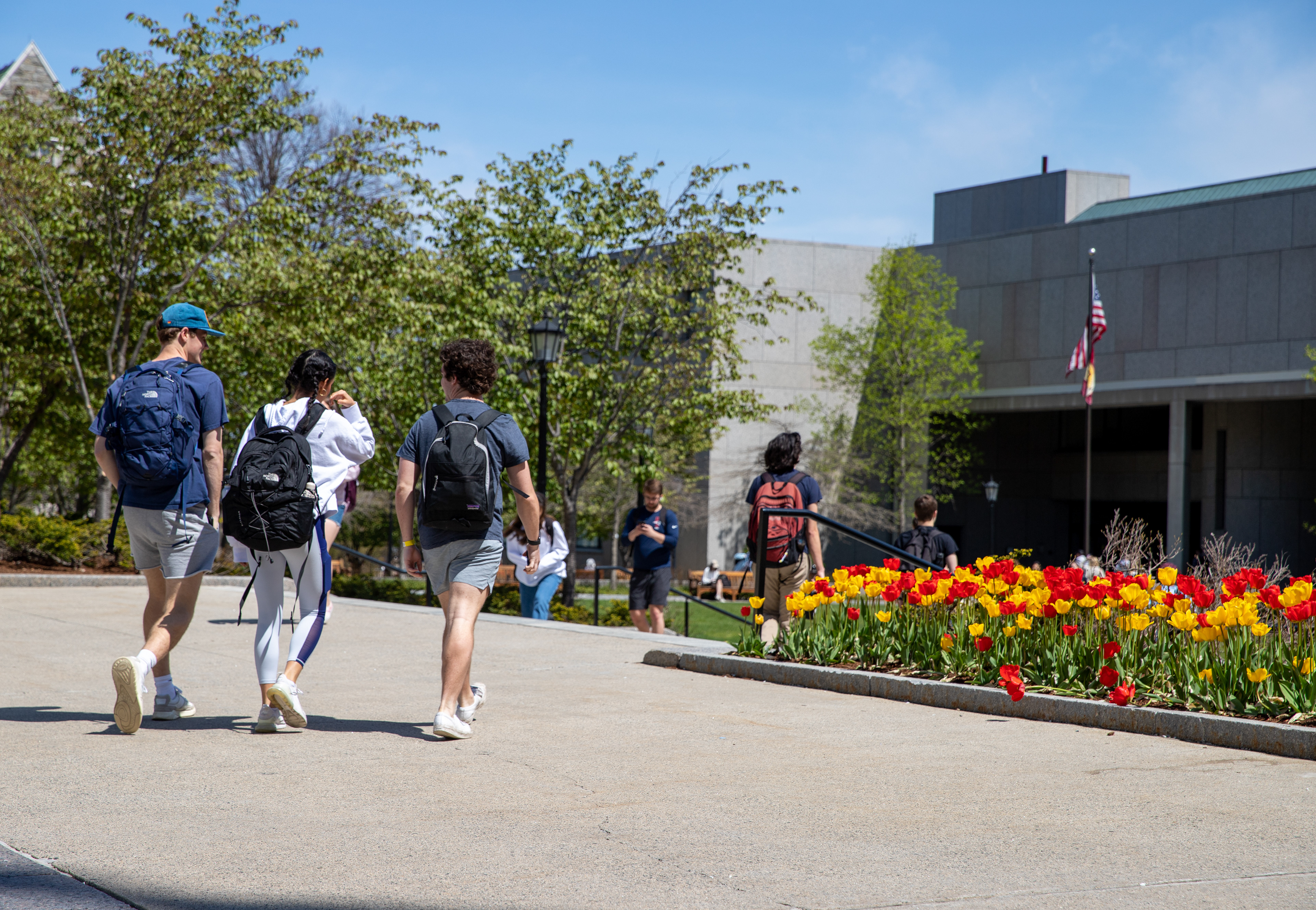 Students walking from class, Boston College