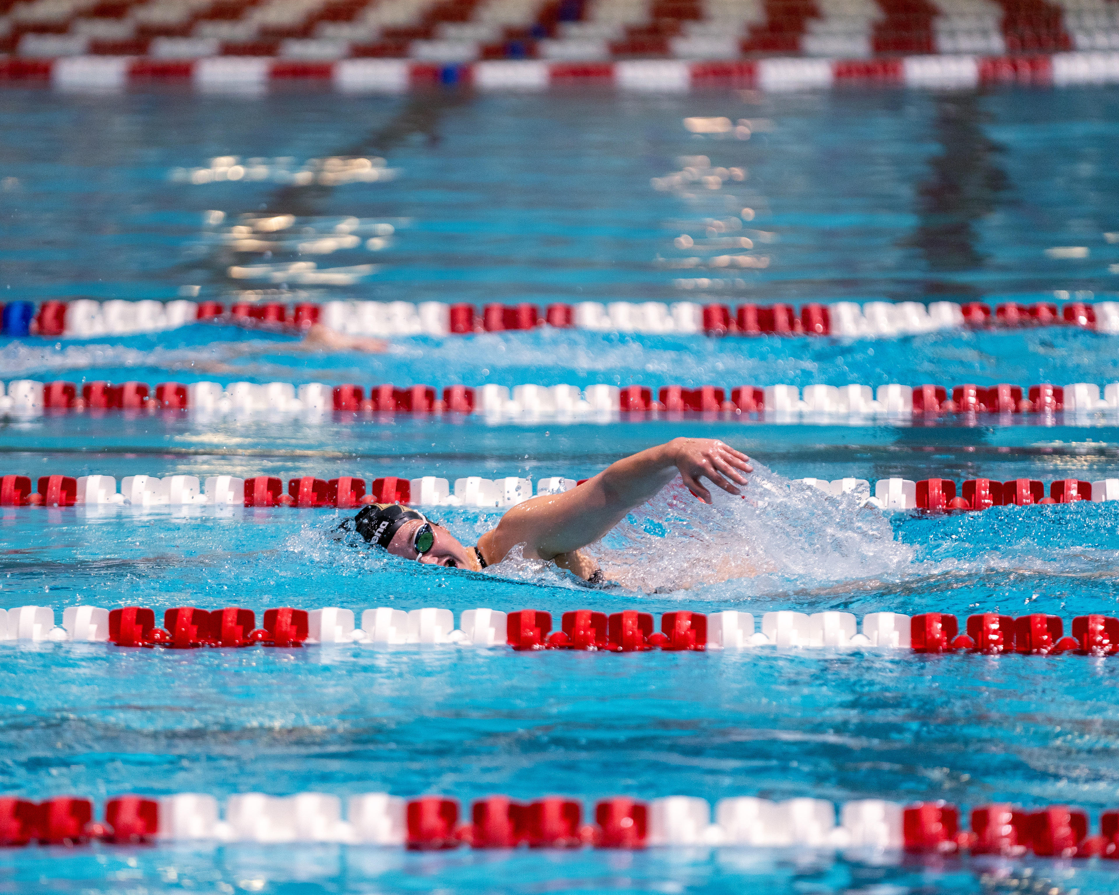Boston College Women's Swim & Dive Team