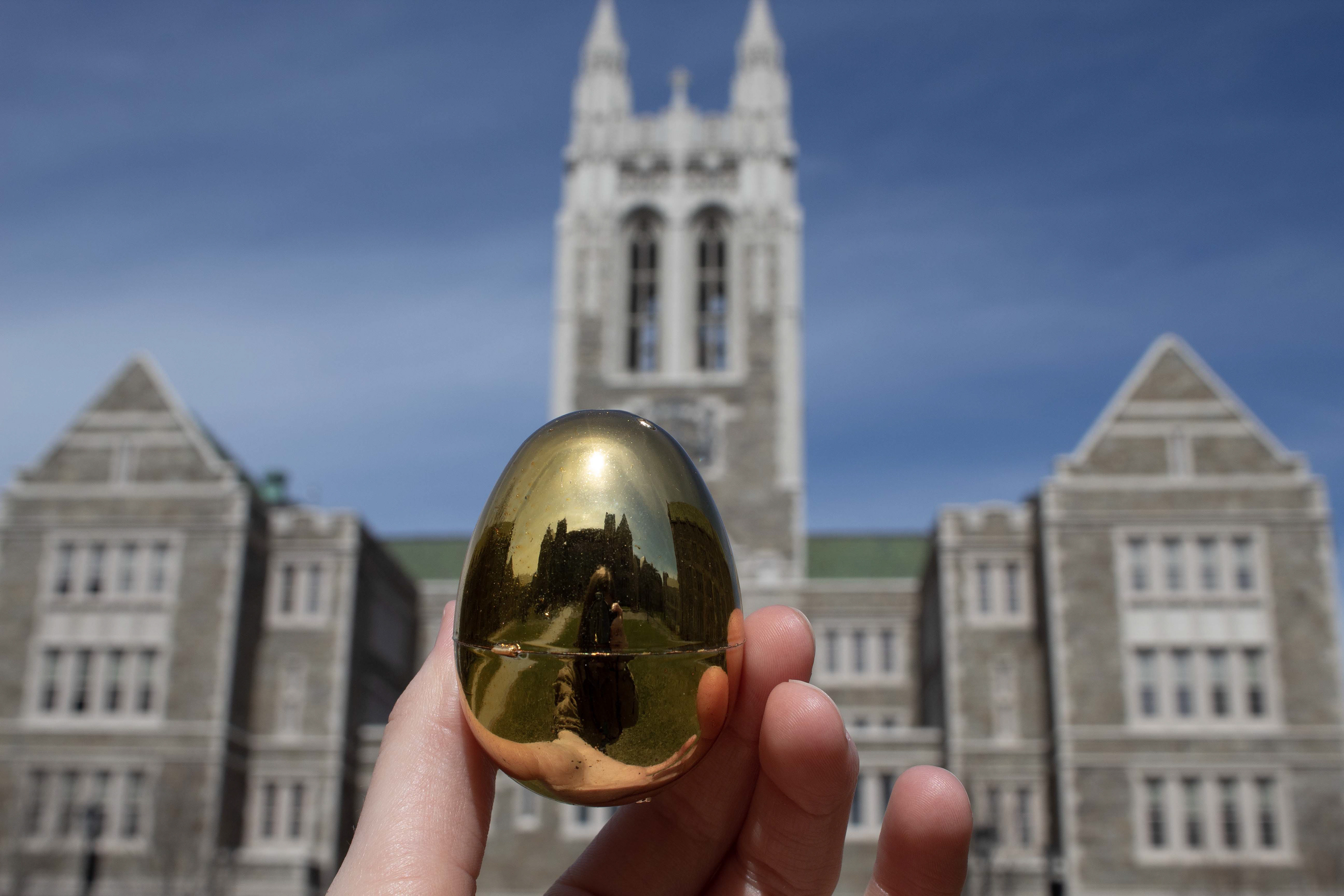Golden Egg Campaign, Boston College