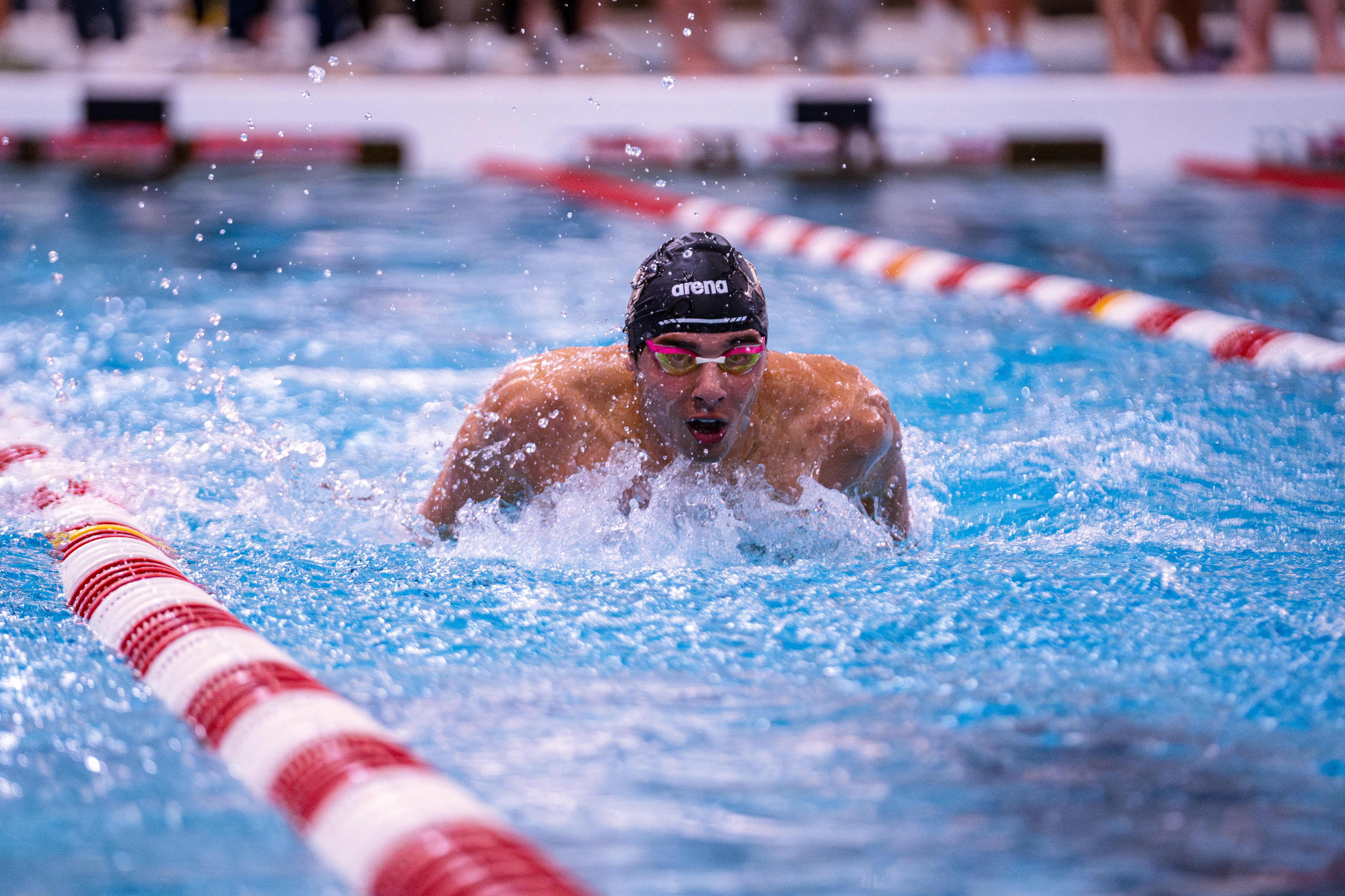 BC Men's Swim & Dive Team