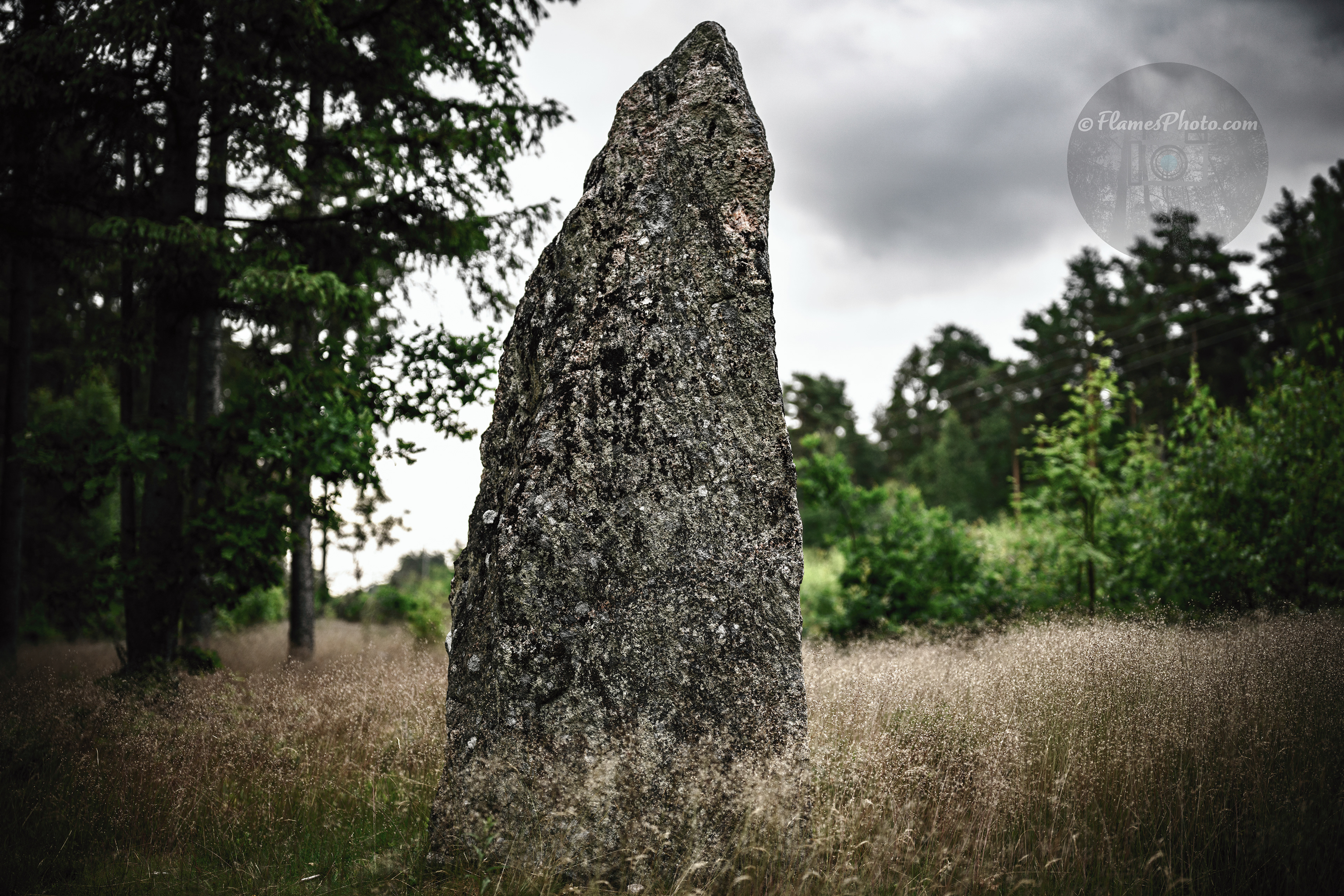 -12- © Joakim Öberg / FlamesPhoto