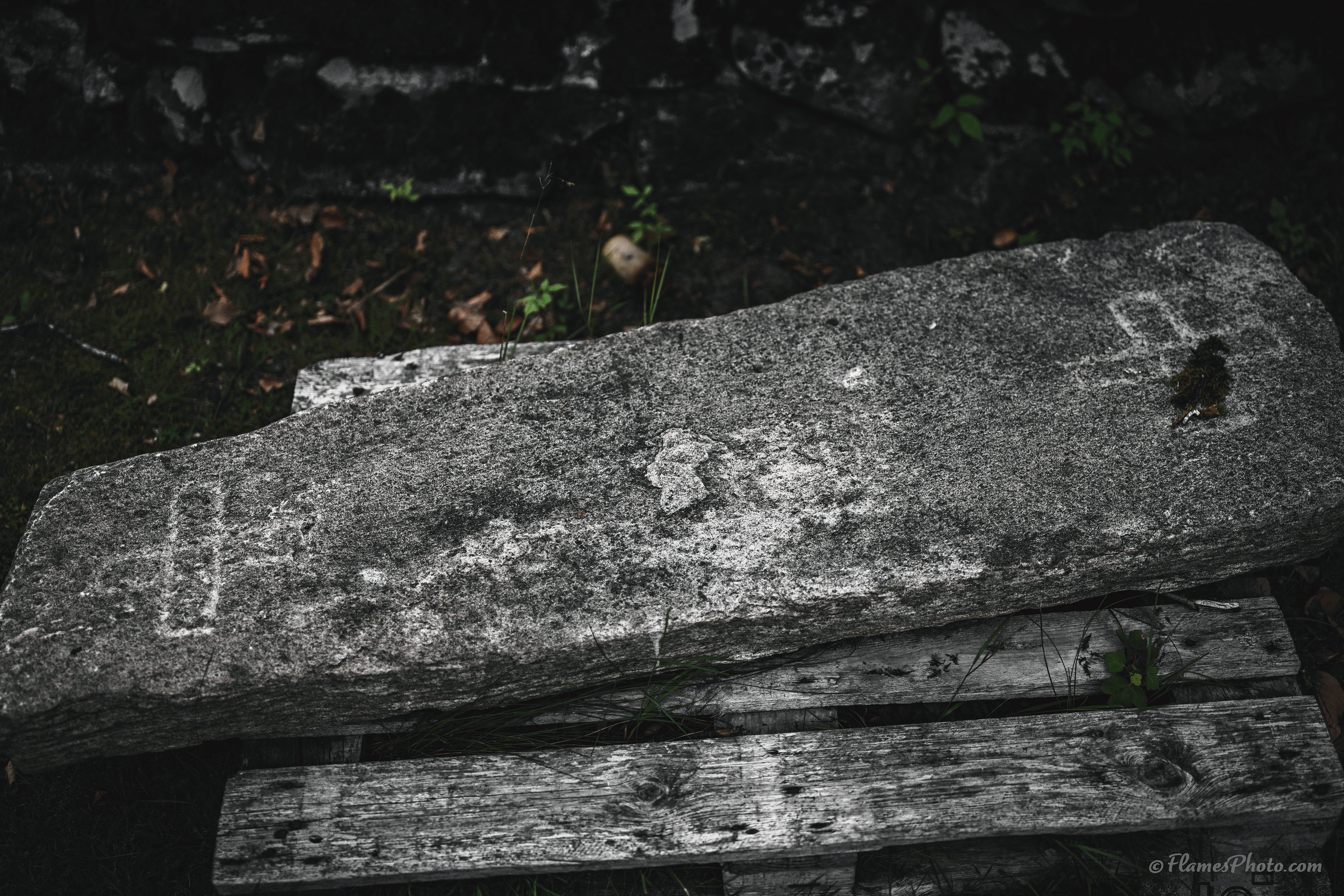 -19- © Joakim Öberg / FlamesPhoto