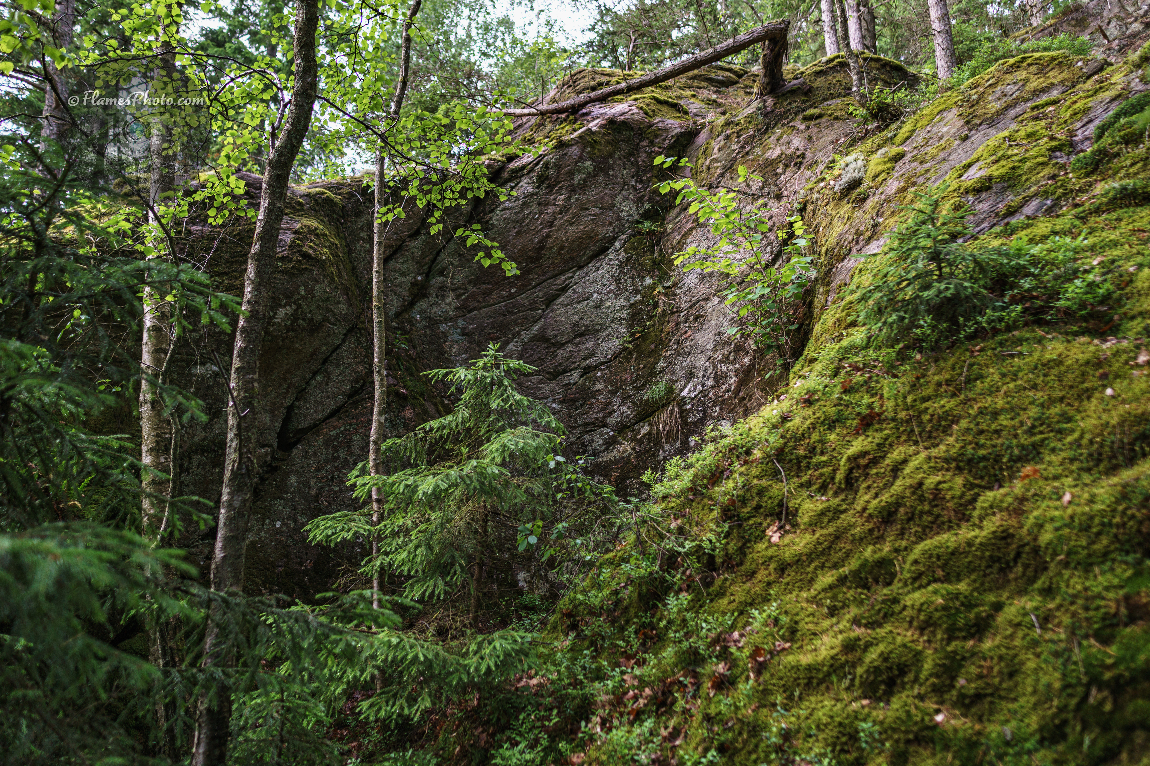 -70- © Joakim Öberg / FlamesPhoto