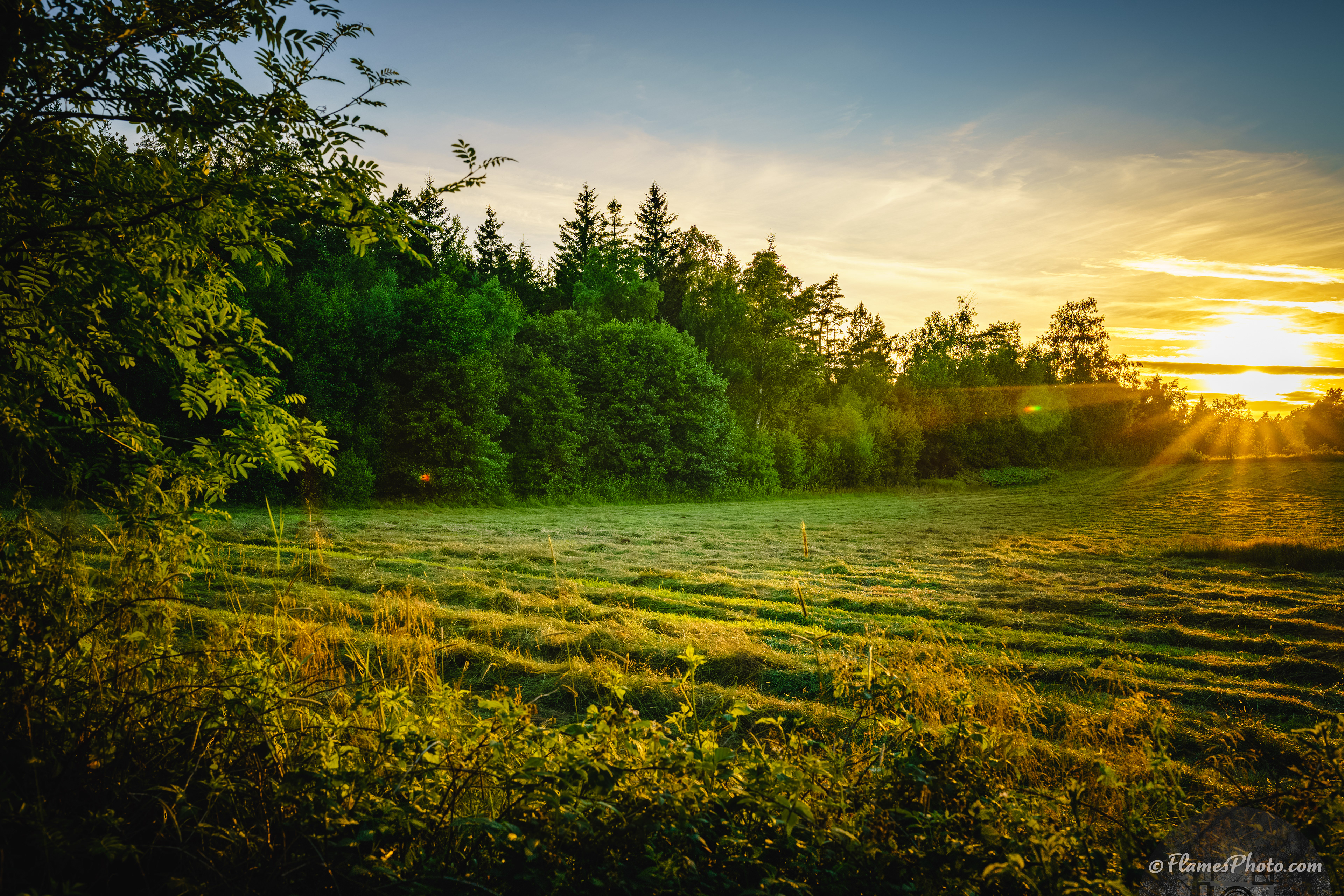 -80- © Joakim Öberg / FlamesPhoto