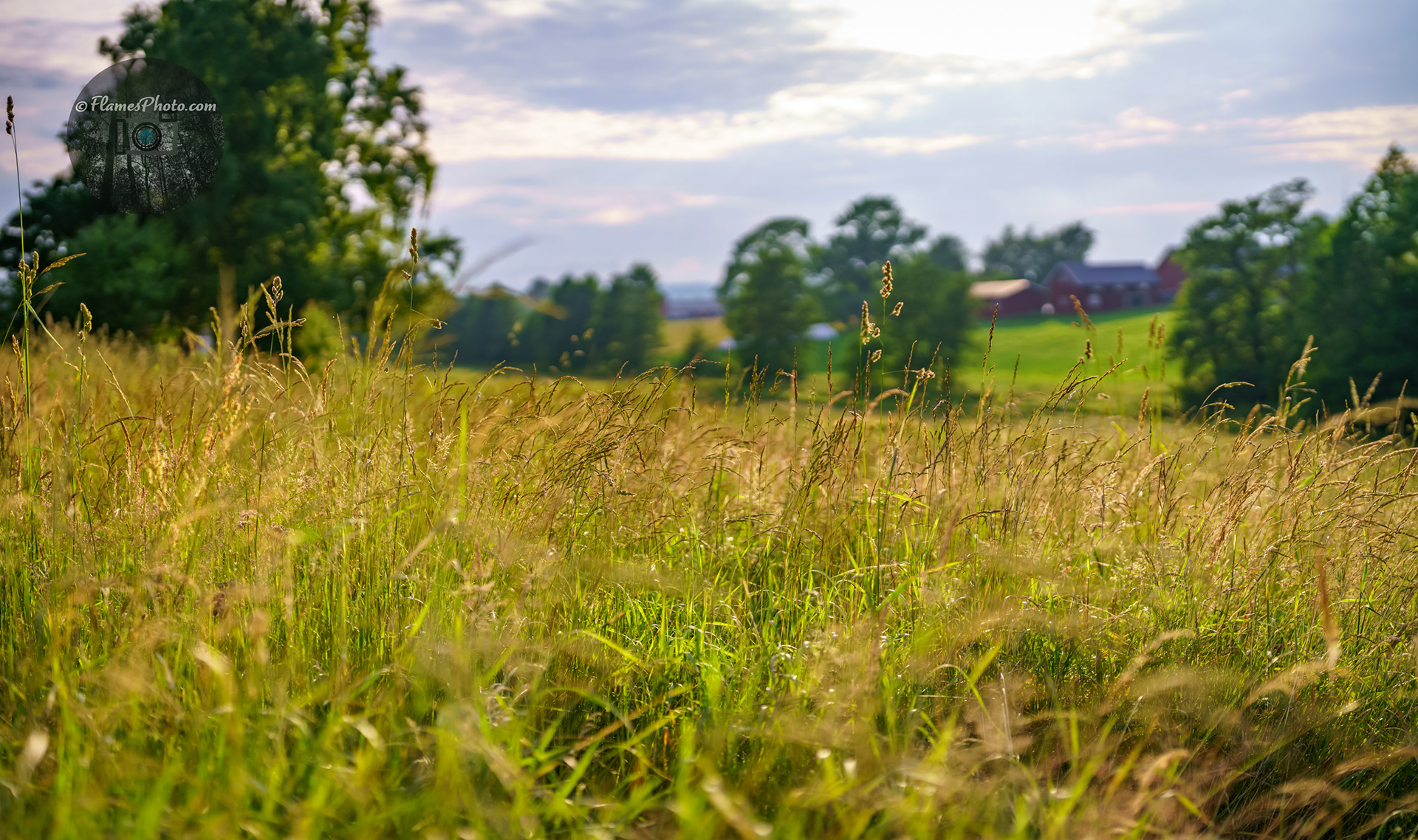 -33- © Joakim Öberg / FlamesPhoto