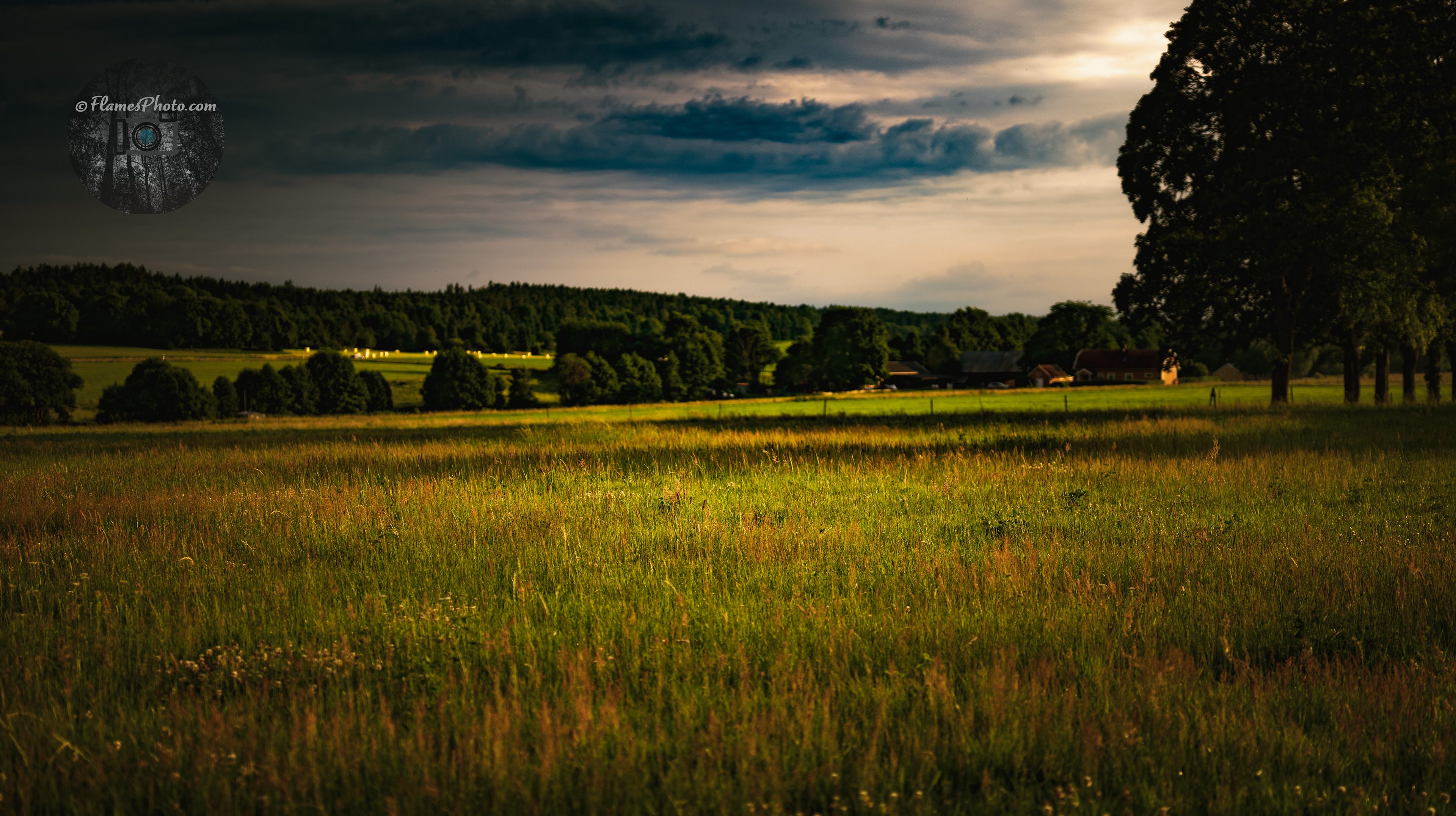 -31- © Joakim Öberg / FlamesPhoto