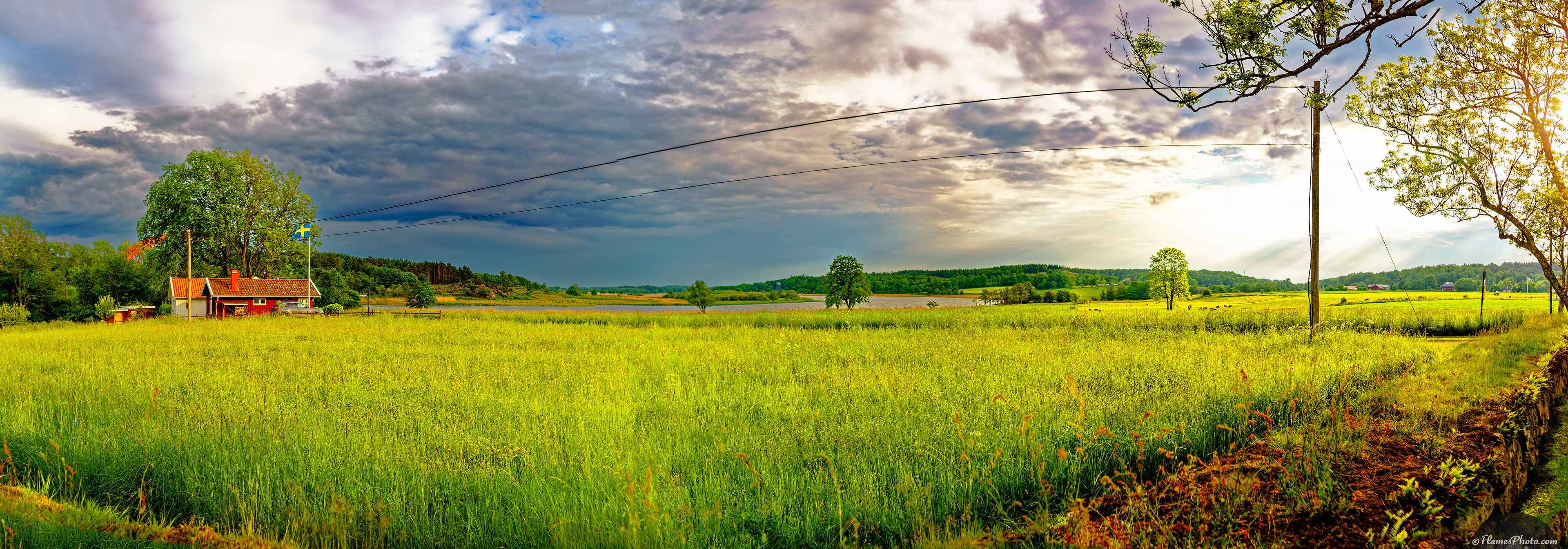 -62- © Joakim Öberg / FlamesPhoto