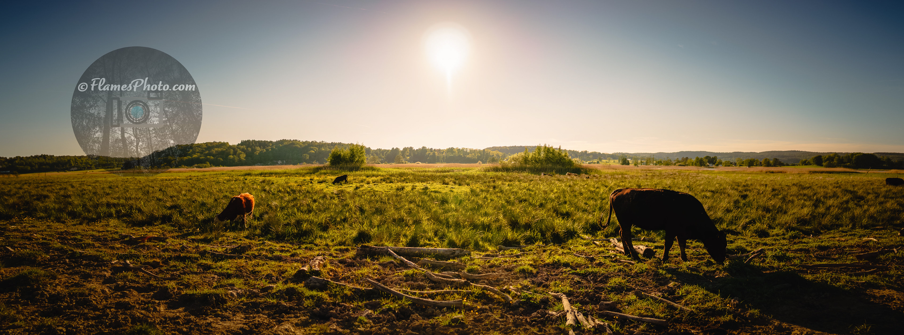-58- © Joakim Öberg / FlamesPhoto