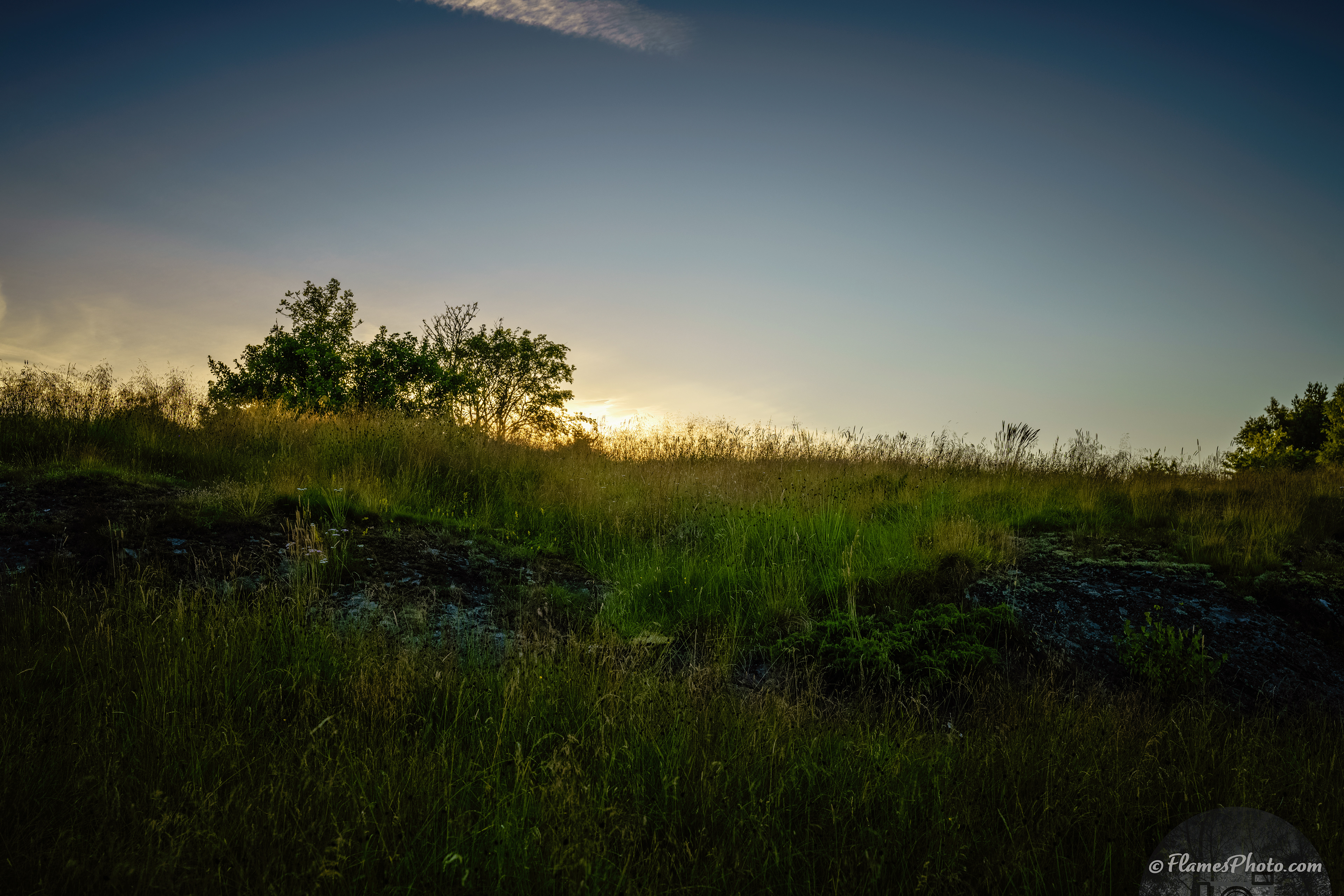 -79- © Joakim Öberg / FlamesPhoto