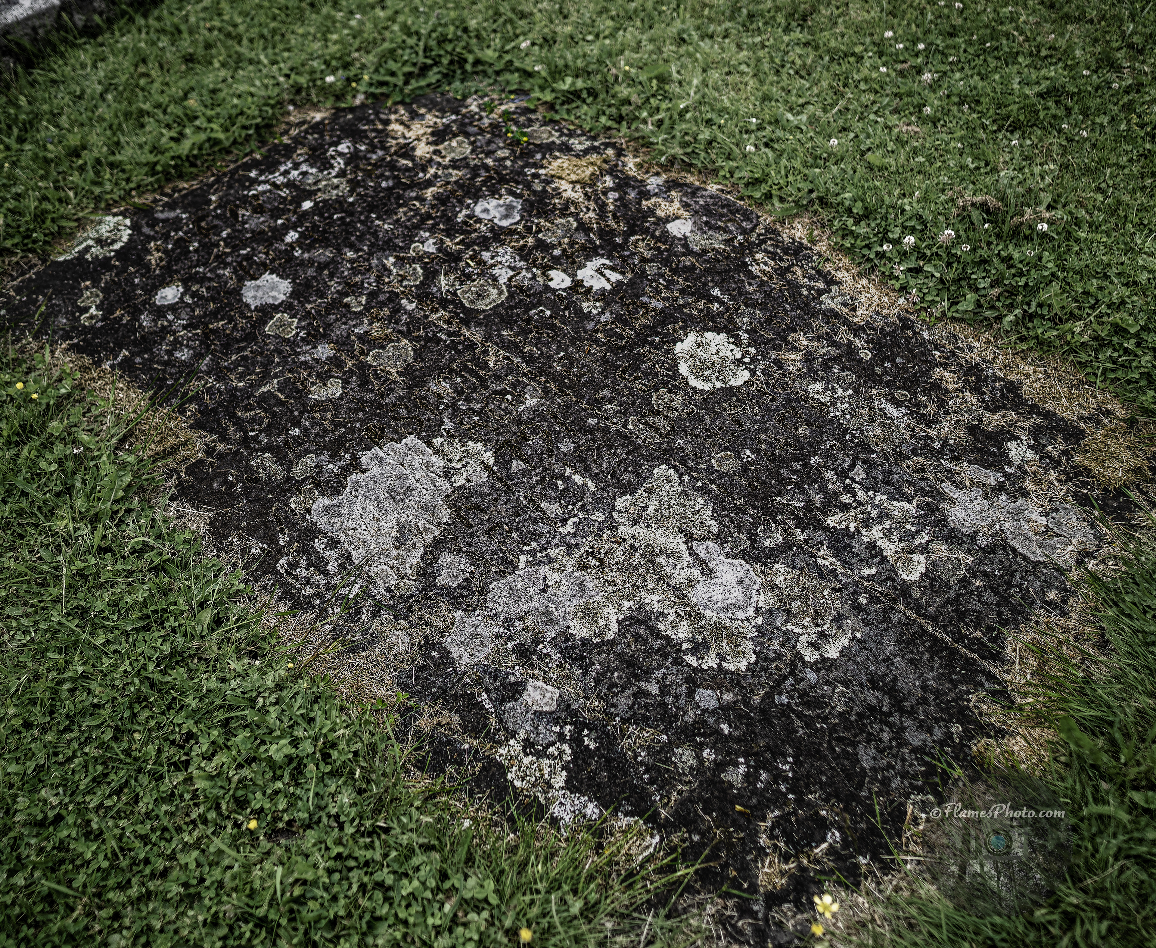 -30- © Joakim Öberg / FlamesPhoto