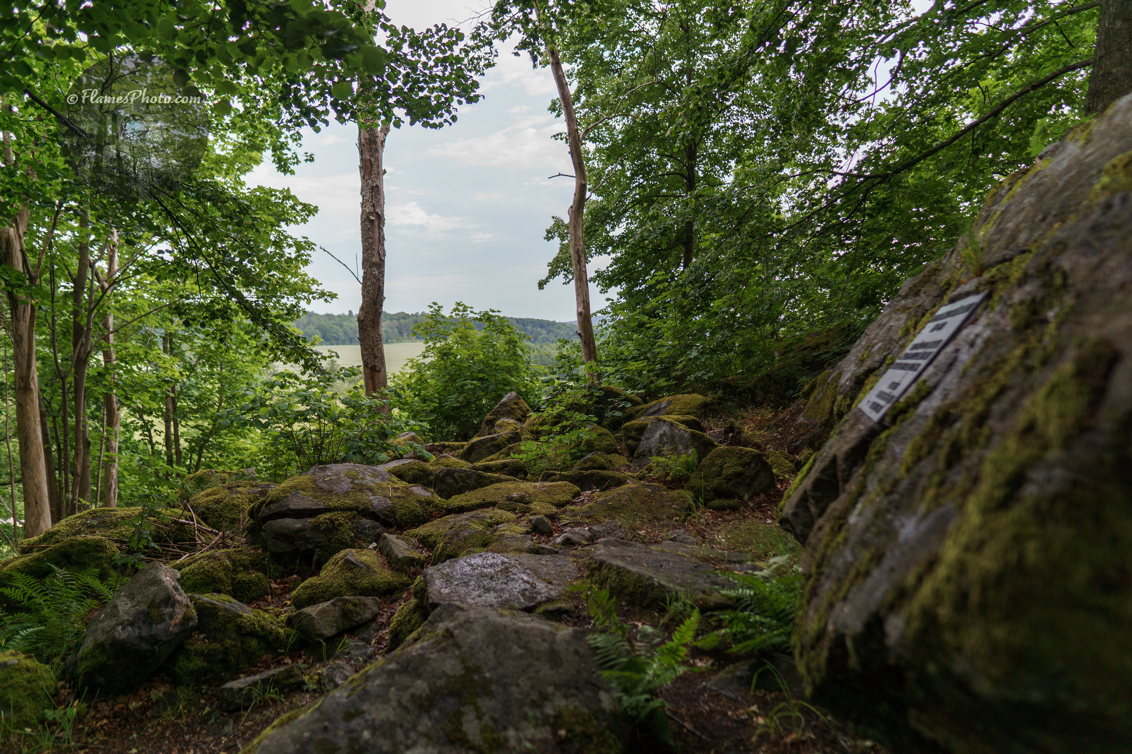 -35- © Joakim Öberg / FlamesPhoto