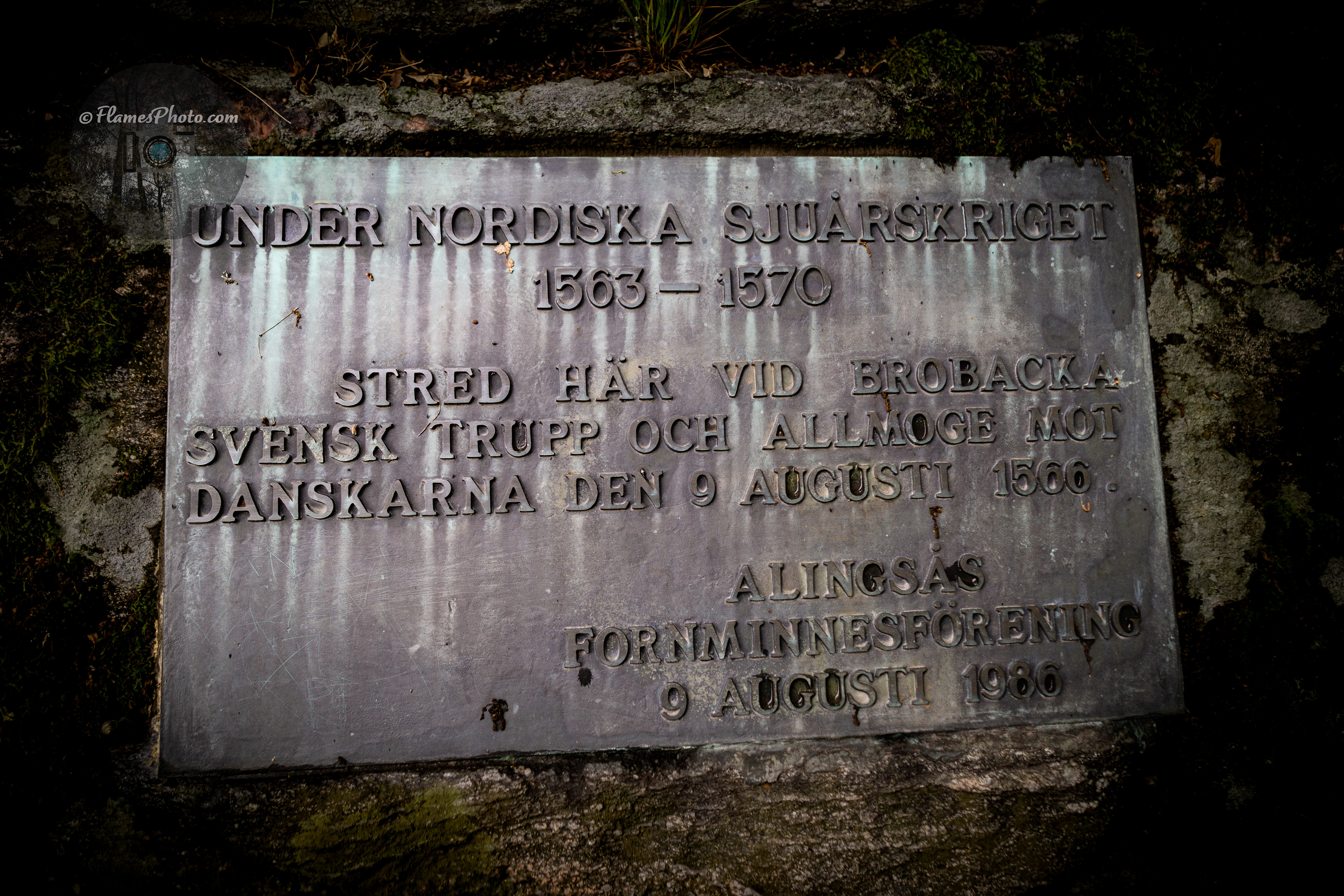 -34- © Joakim Öberg / FlamesPhoto