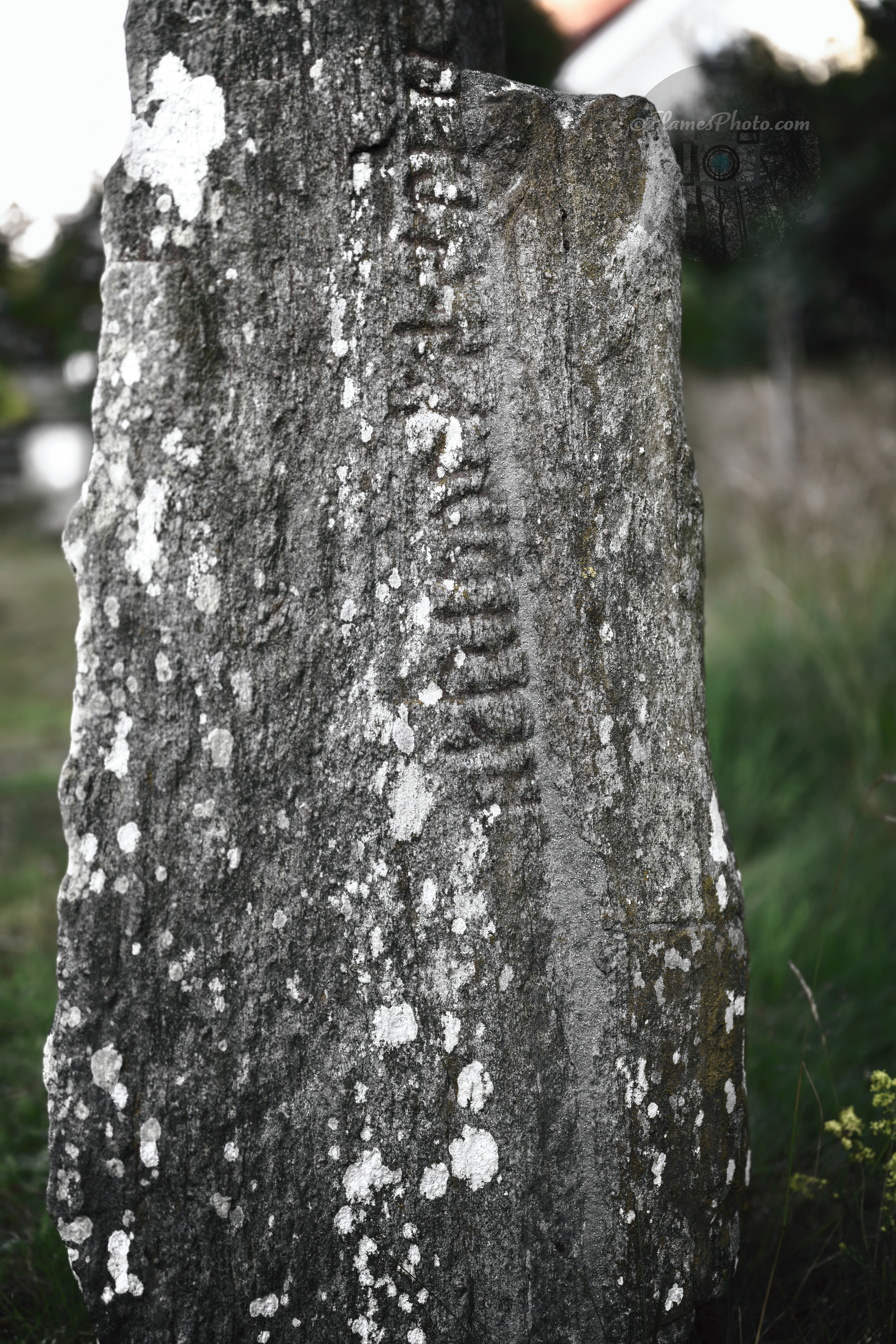 -41- © Joakim Öberg / FlamesPhoto