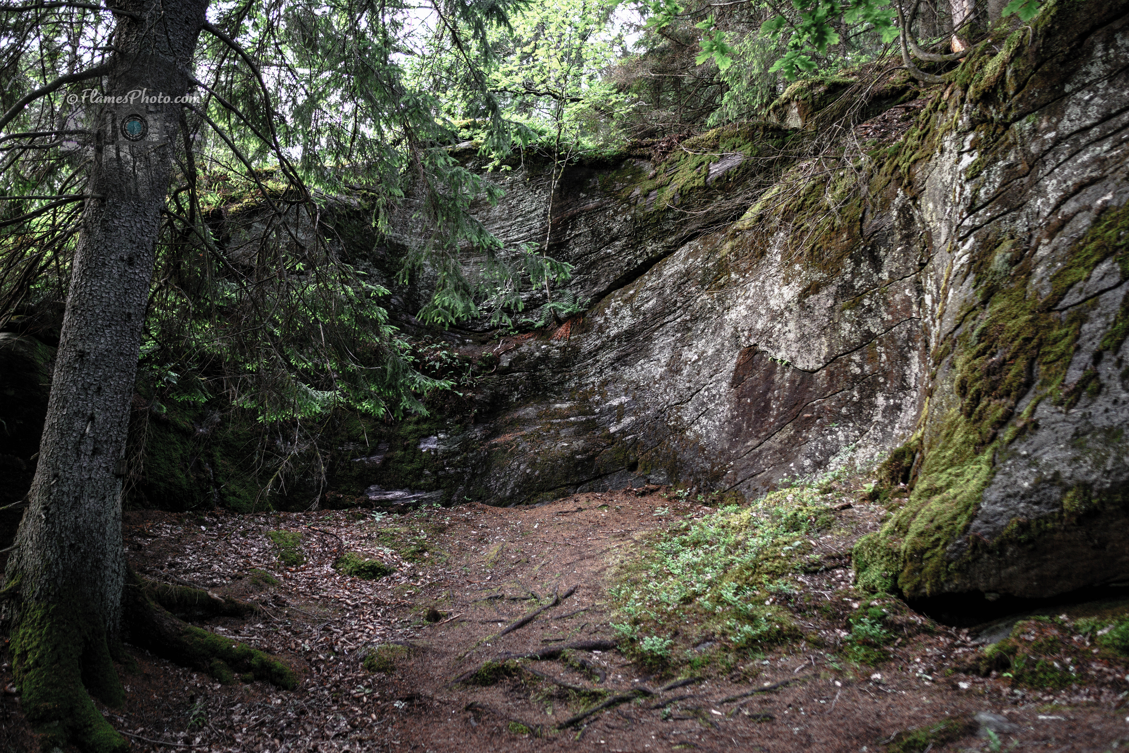 -71- © Joakim Öberg / FlamesPhoto