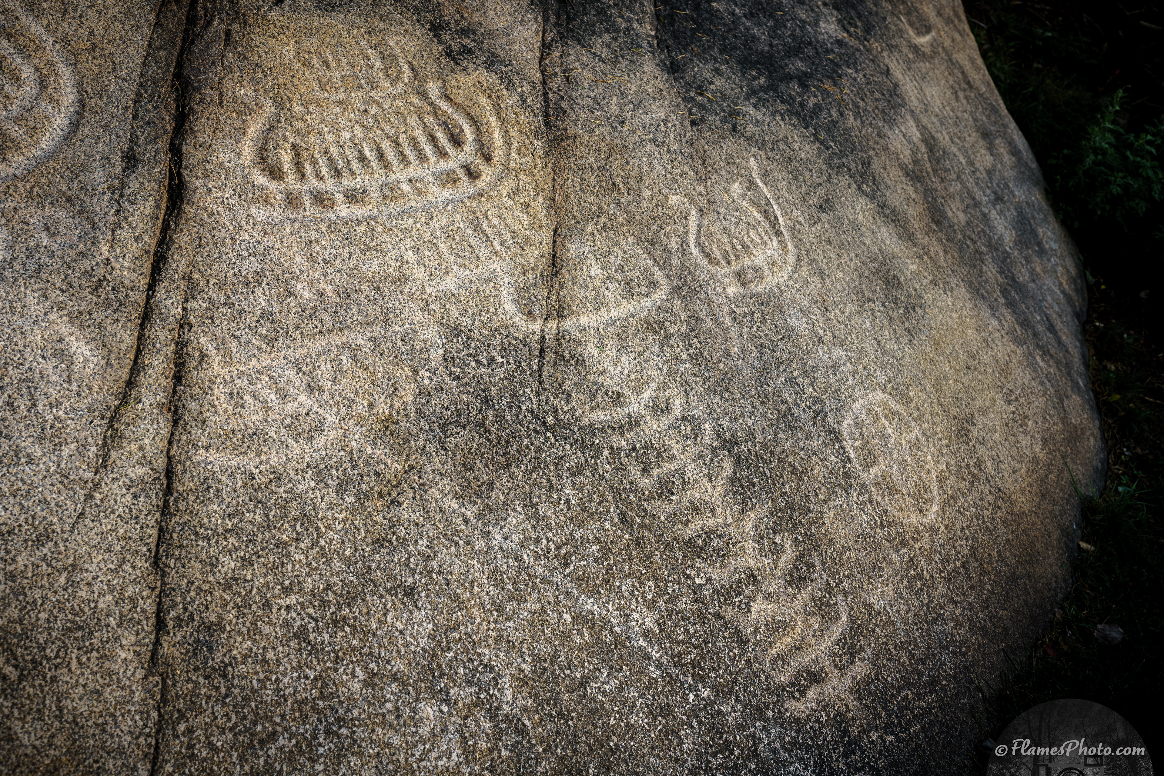 -40- © Joakim Öberg / FlamesPhoto