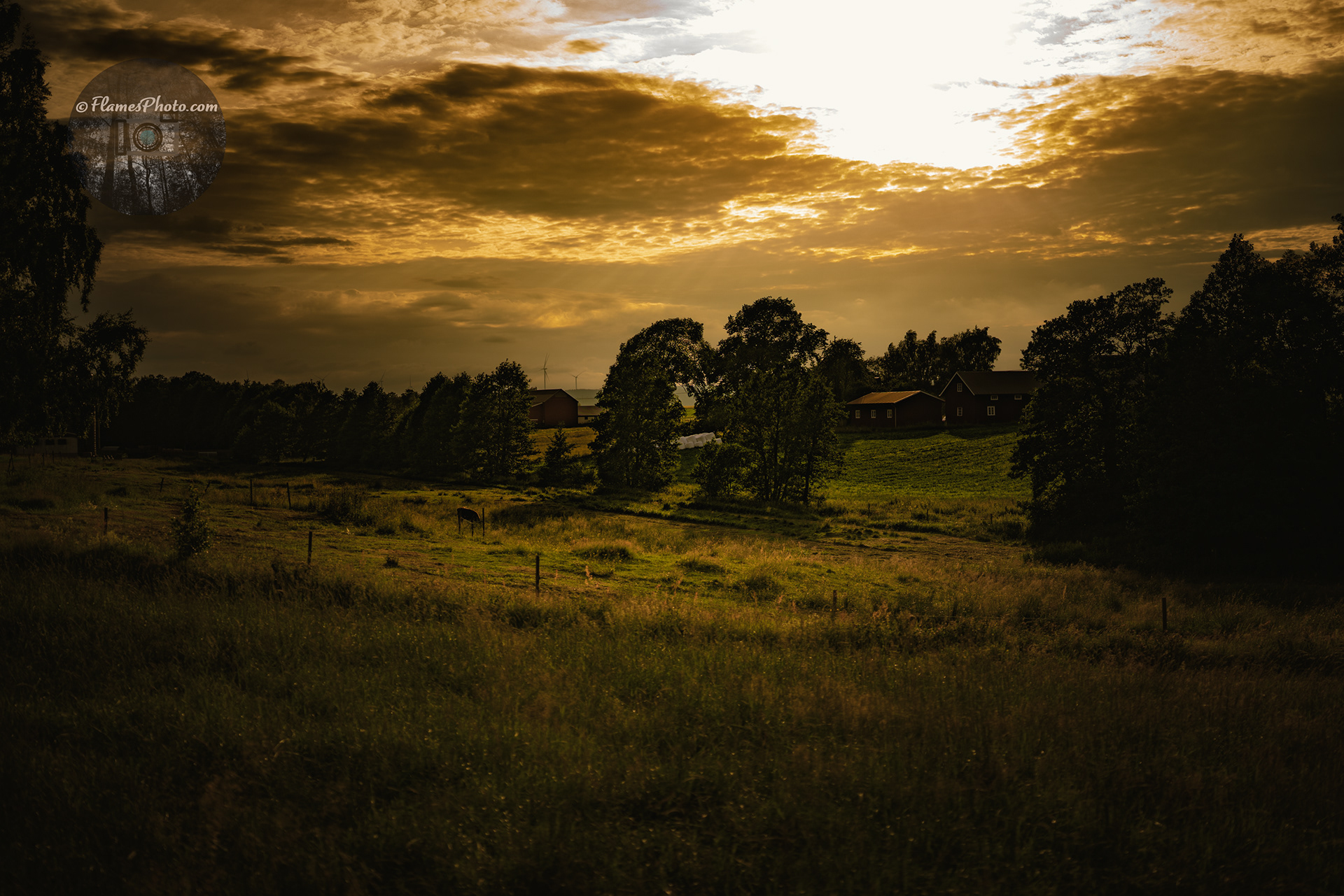 -34- © Joakim Öberg / FlamesPhoto