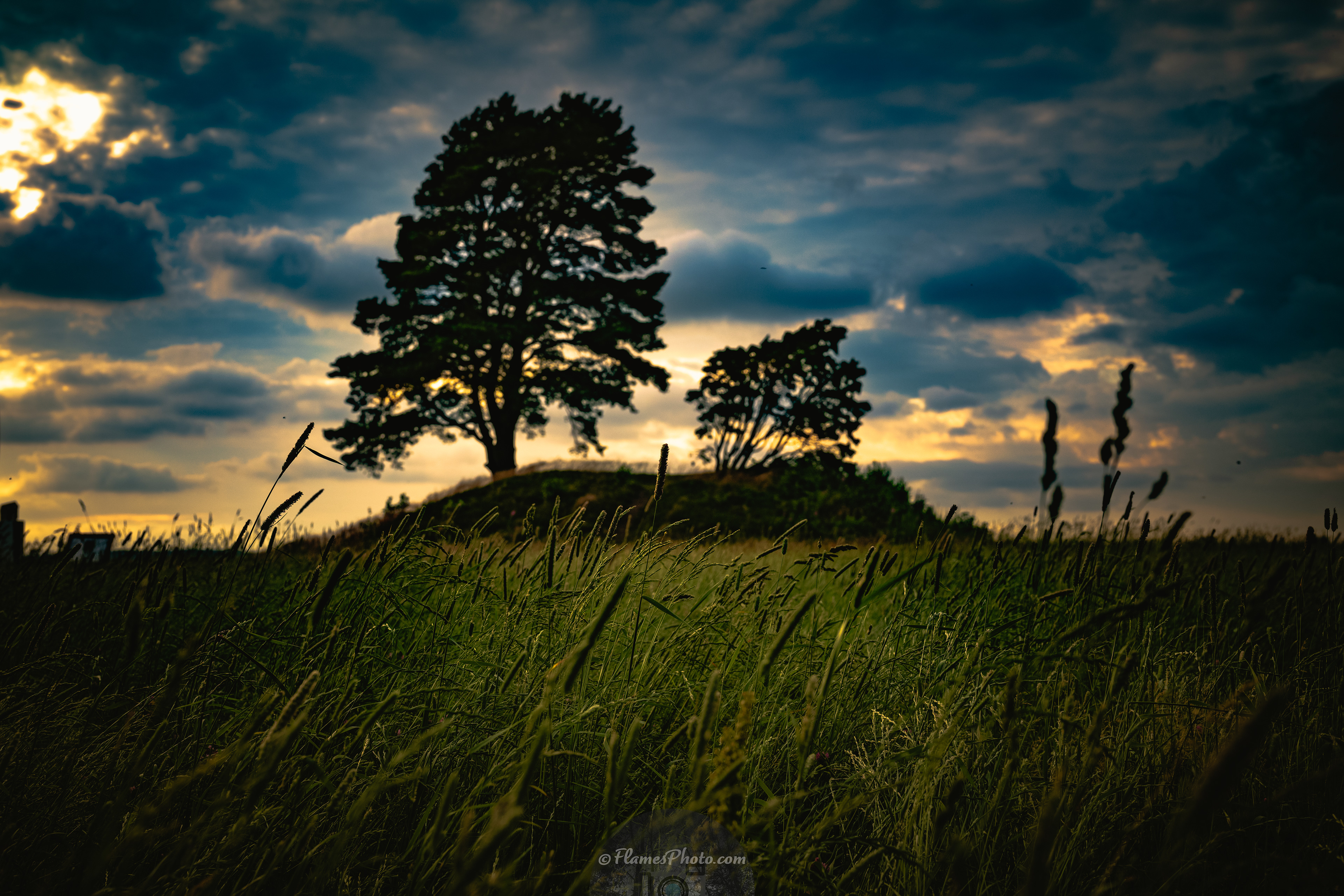  © Joakim Öberg / FlamesPhoto